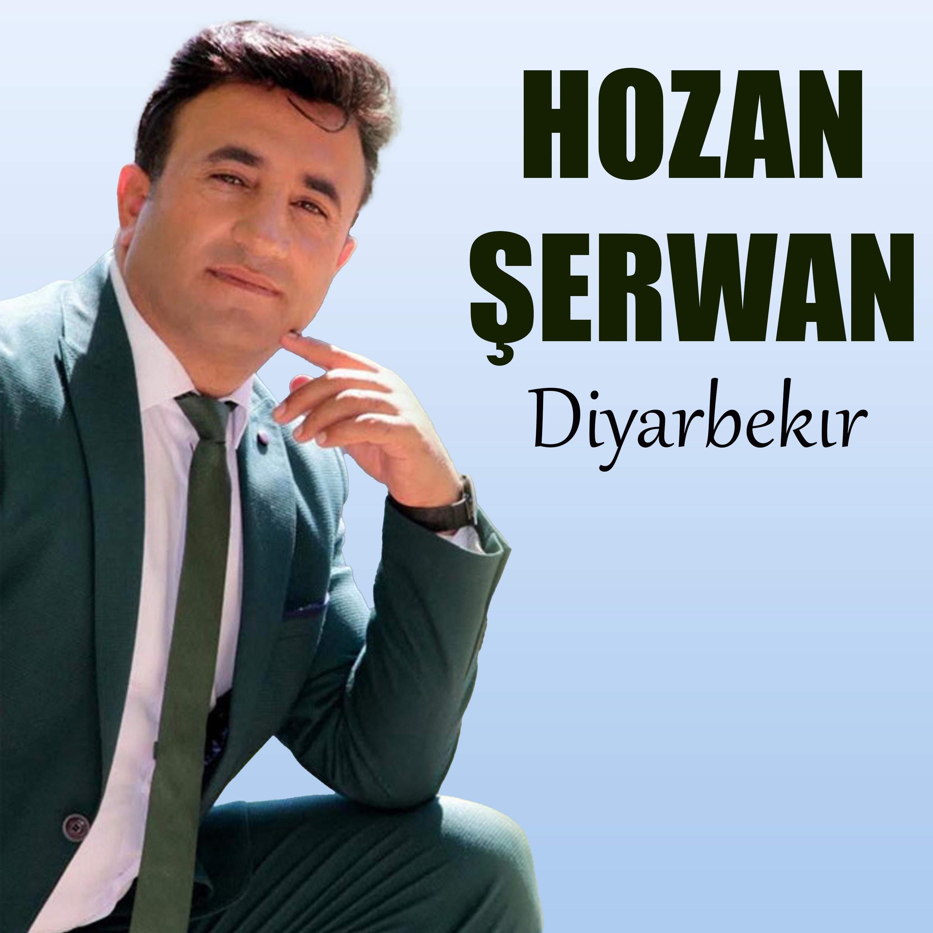 Постер альбома Diyarbekır