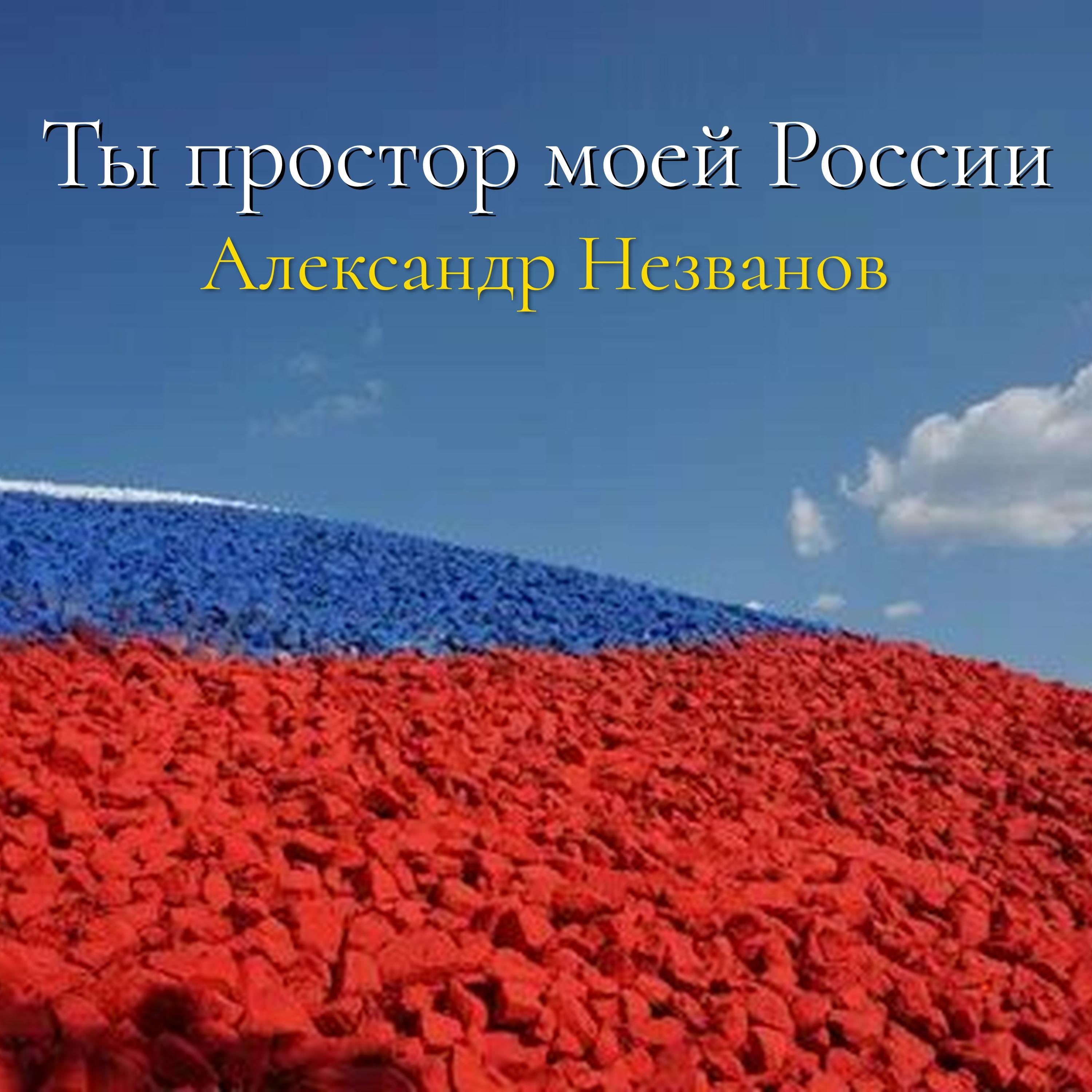 Постер альбома Ты простор моей России