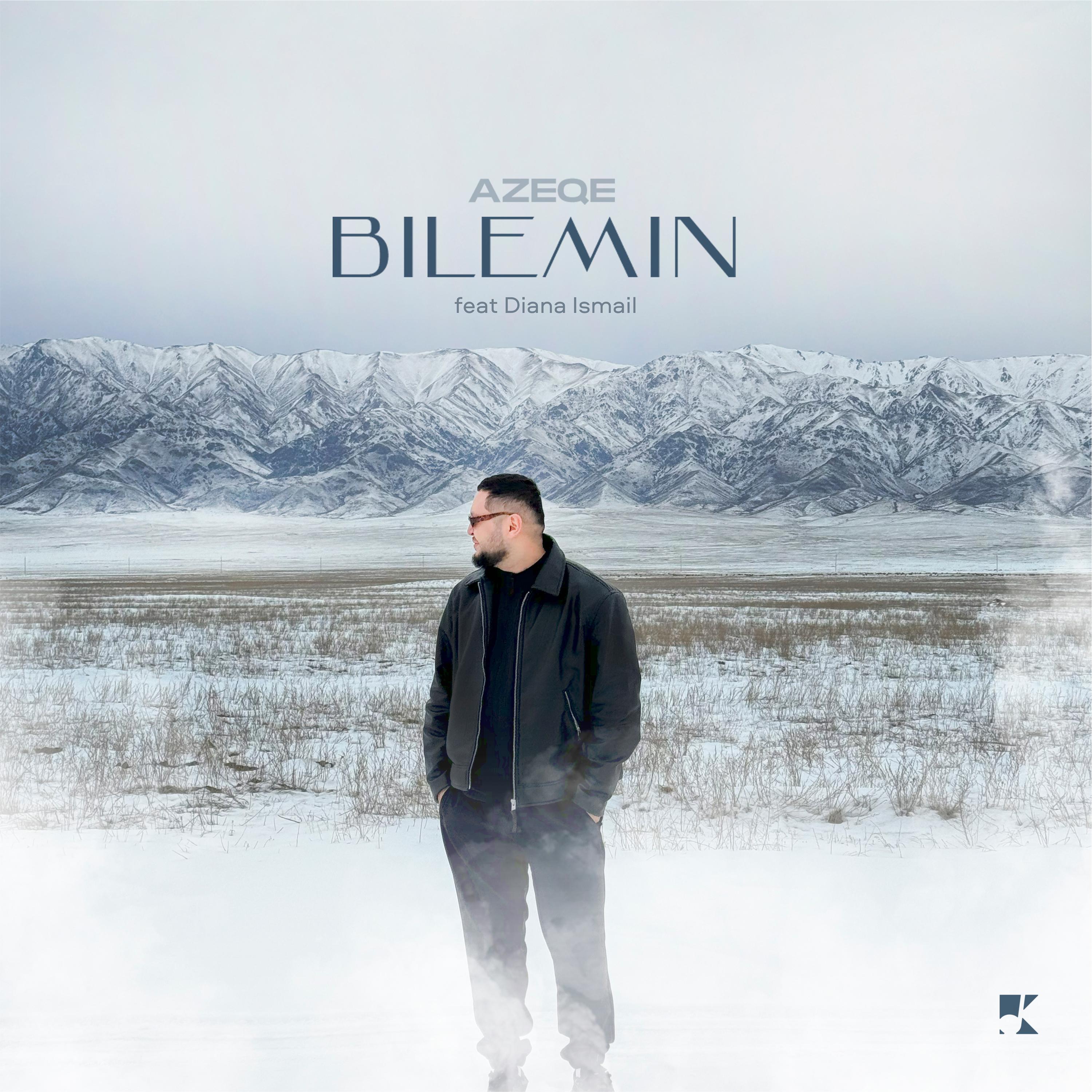 Постер альбома Bilemin