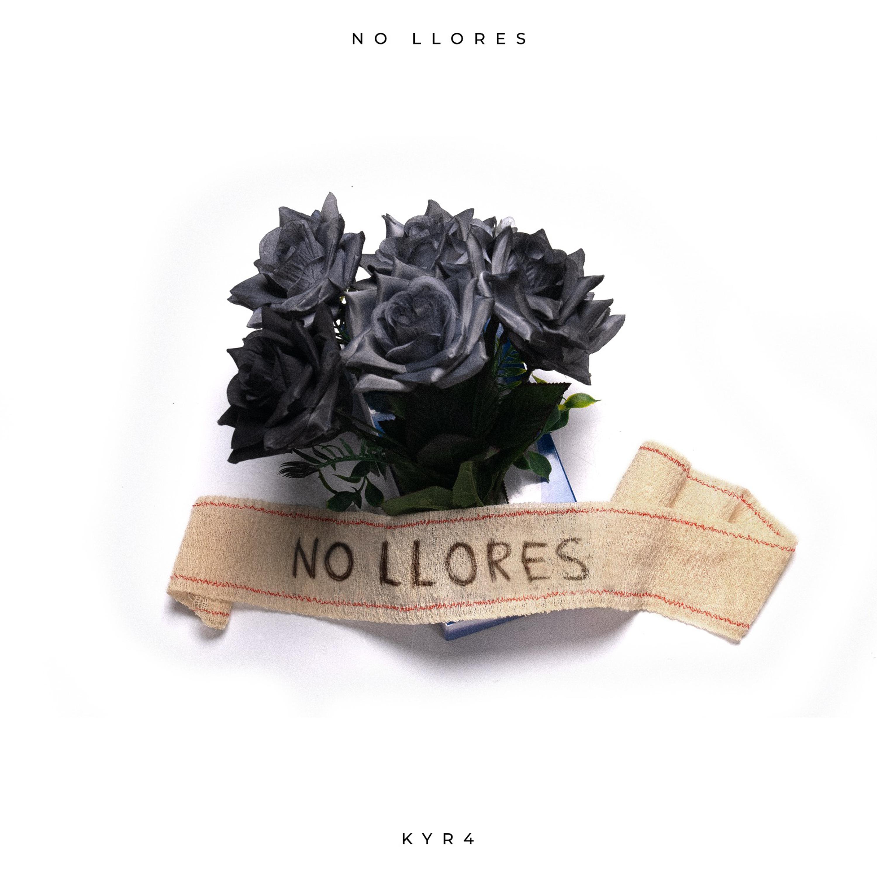 Постер альбома No Llores