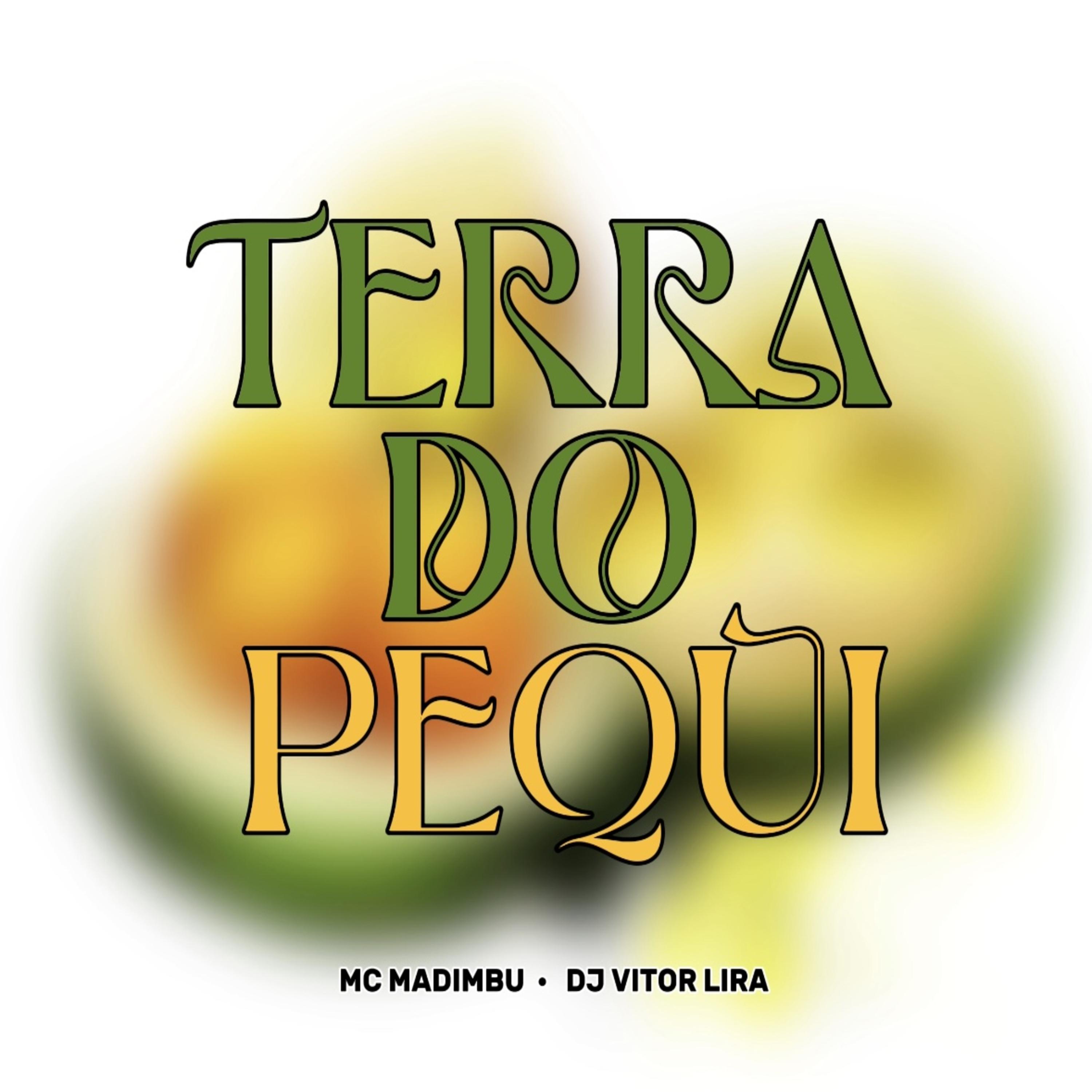Постер альбома Terra do Pequi