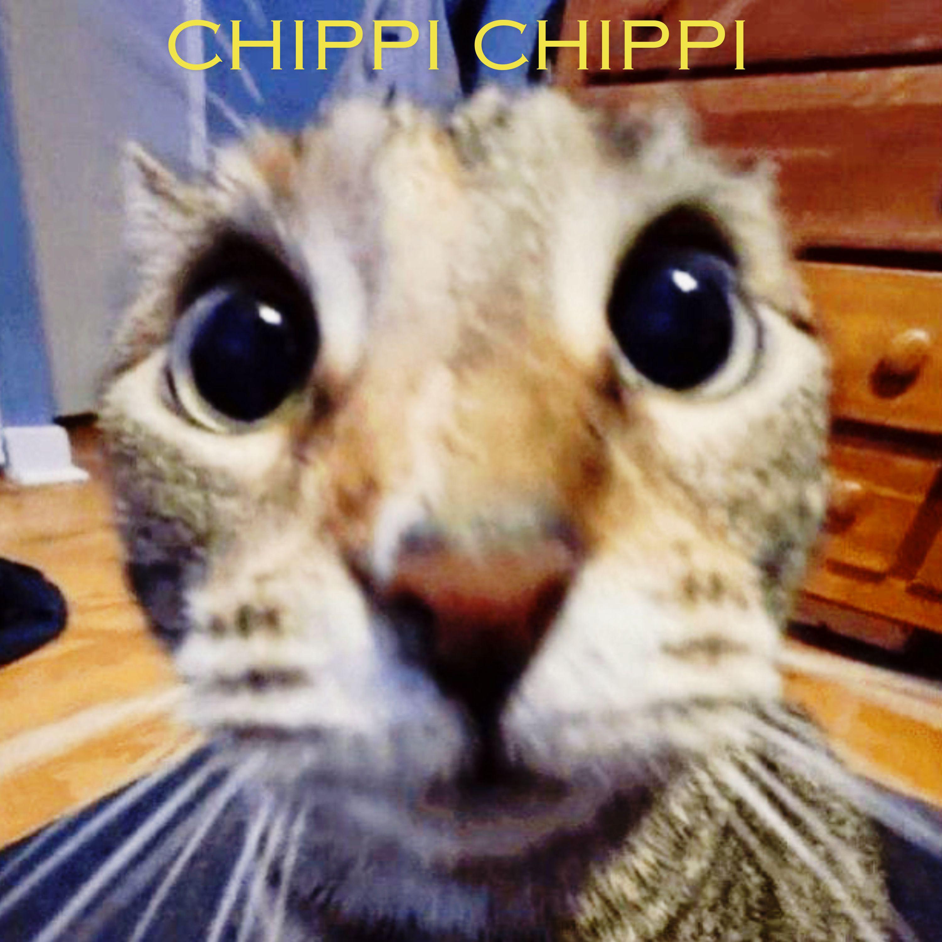 Постер альбома Chippi Chippi Chappa Chappa