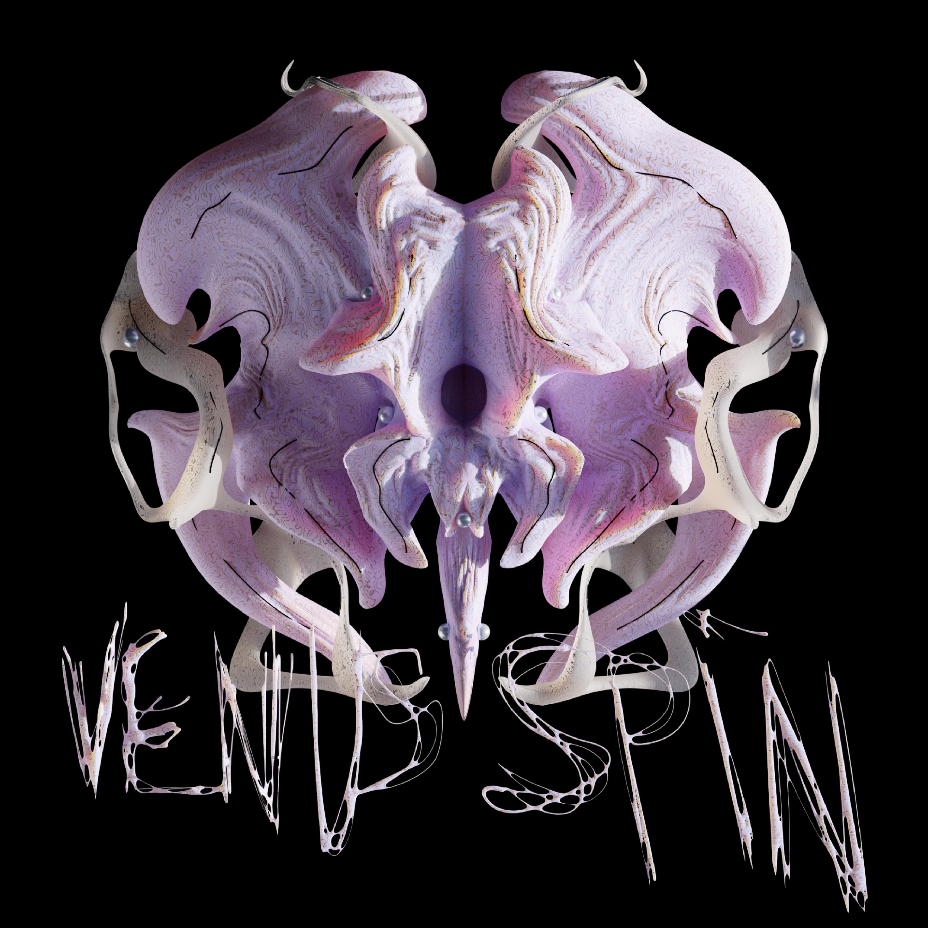 Постер альбома Venus Spin