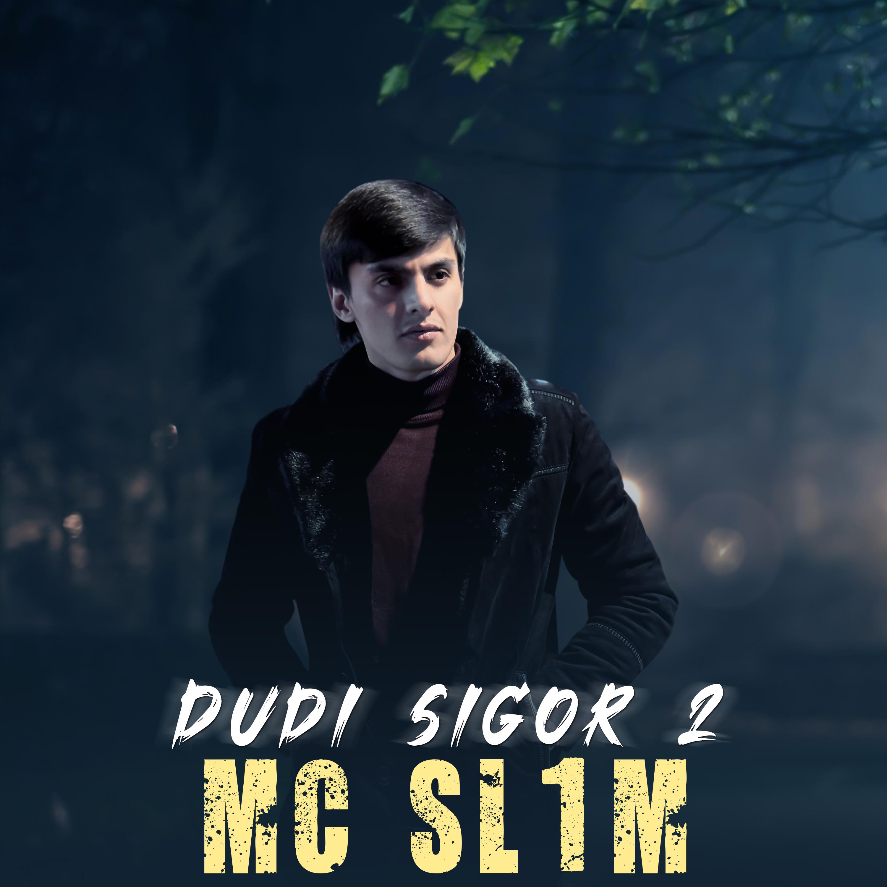 Постер альбома Dudi sigor 2