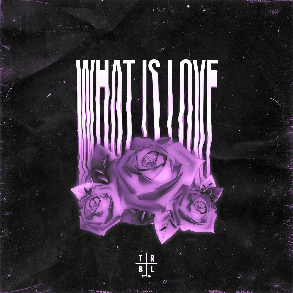 Постер альбома What Is Love (Slowed + Reverb)
