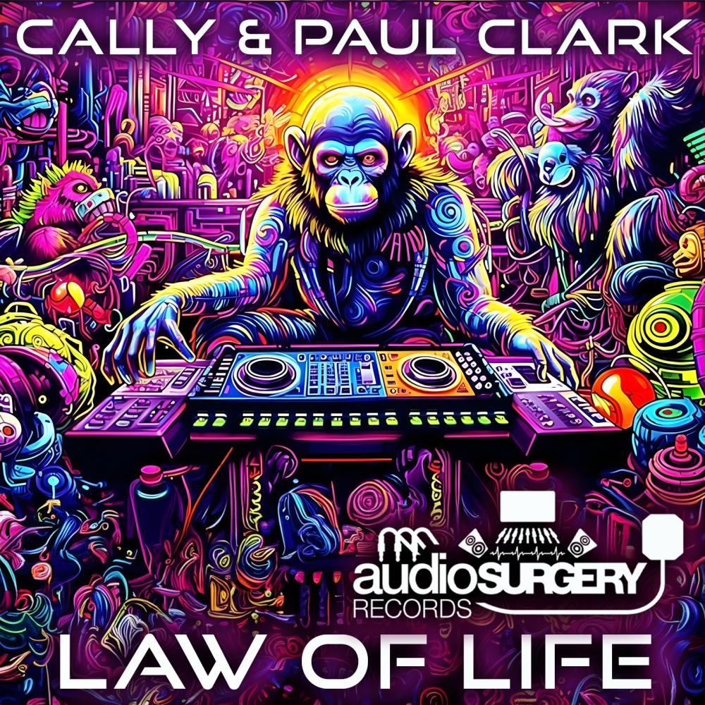 Постер альбома Law of life