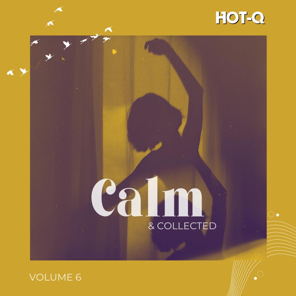 Постер альбома Calm & Collected 006