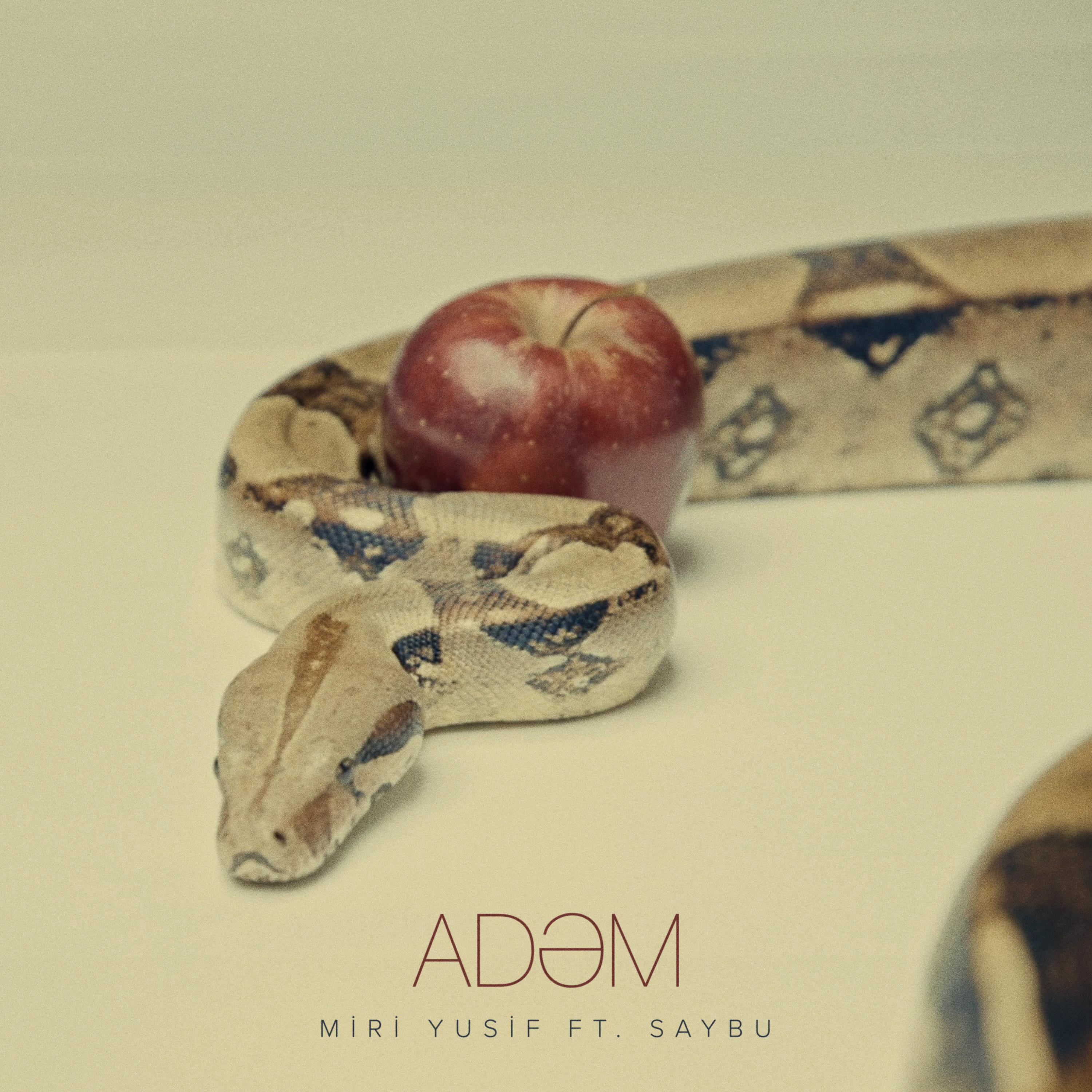 Постер альбома Adəm