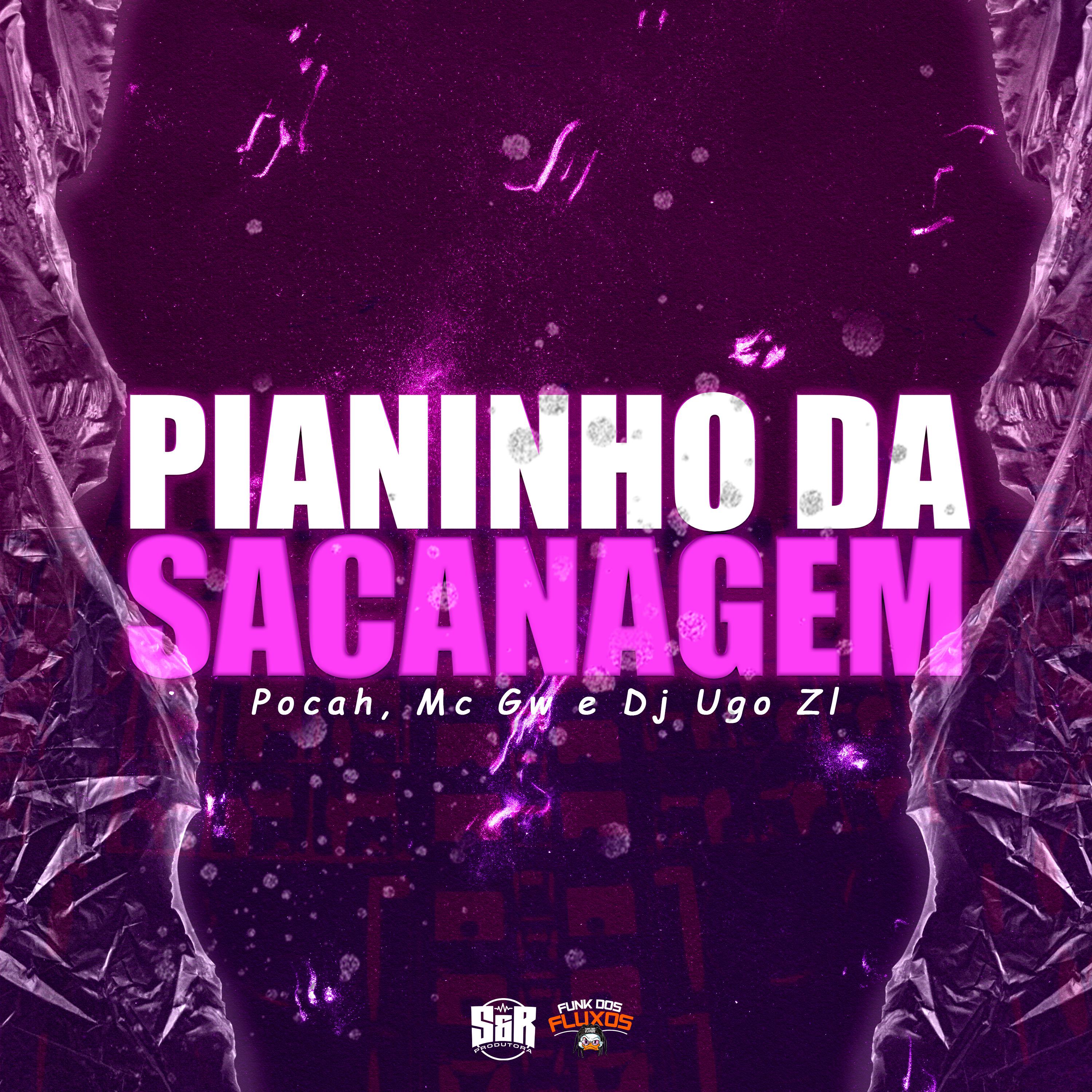 Постер альбома Pianinho da Sacanagem