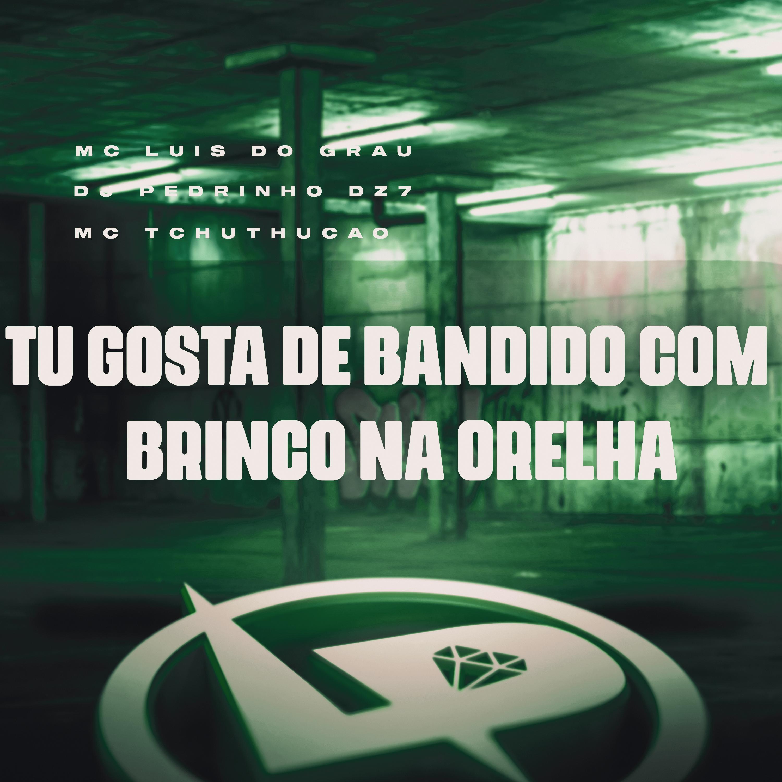Постер альбома Tu Gosta de Bandido Com Brinco na Orelha