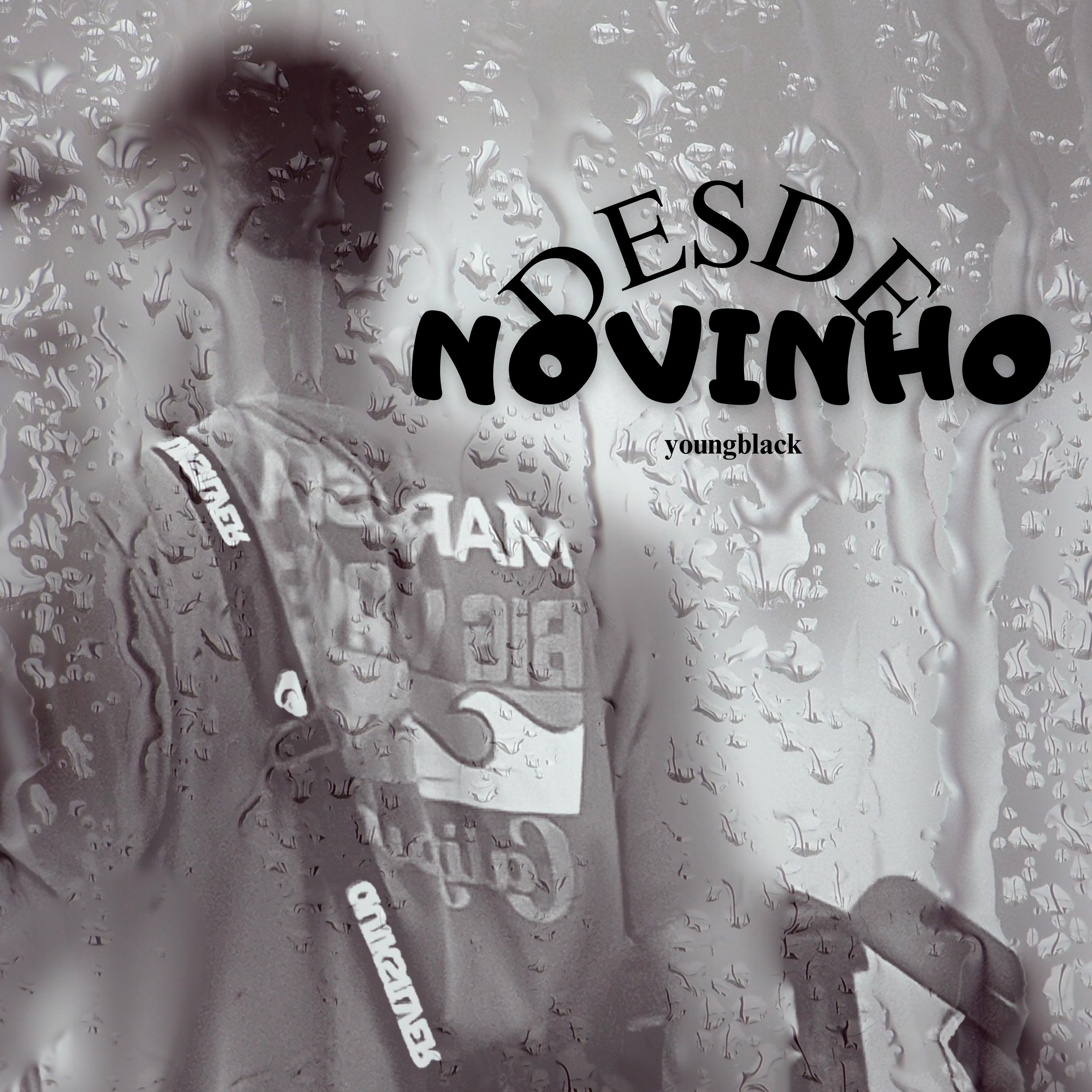Постер альбома Desde Novinho