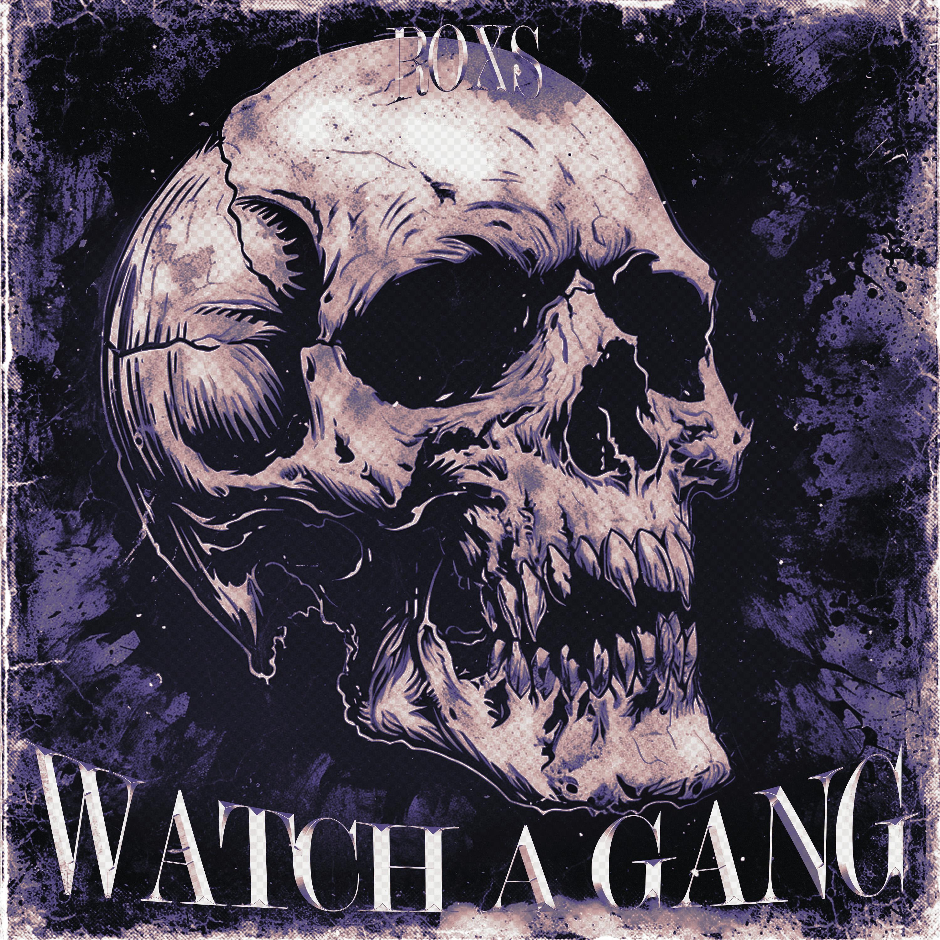 Постер альбома Watch a gang