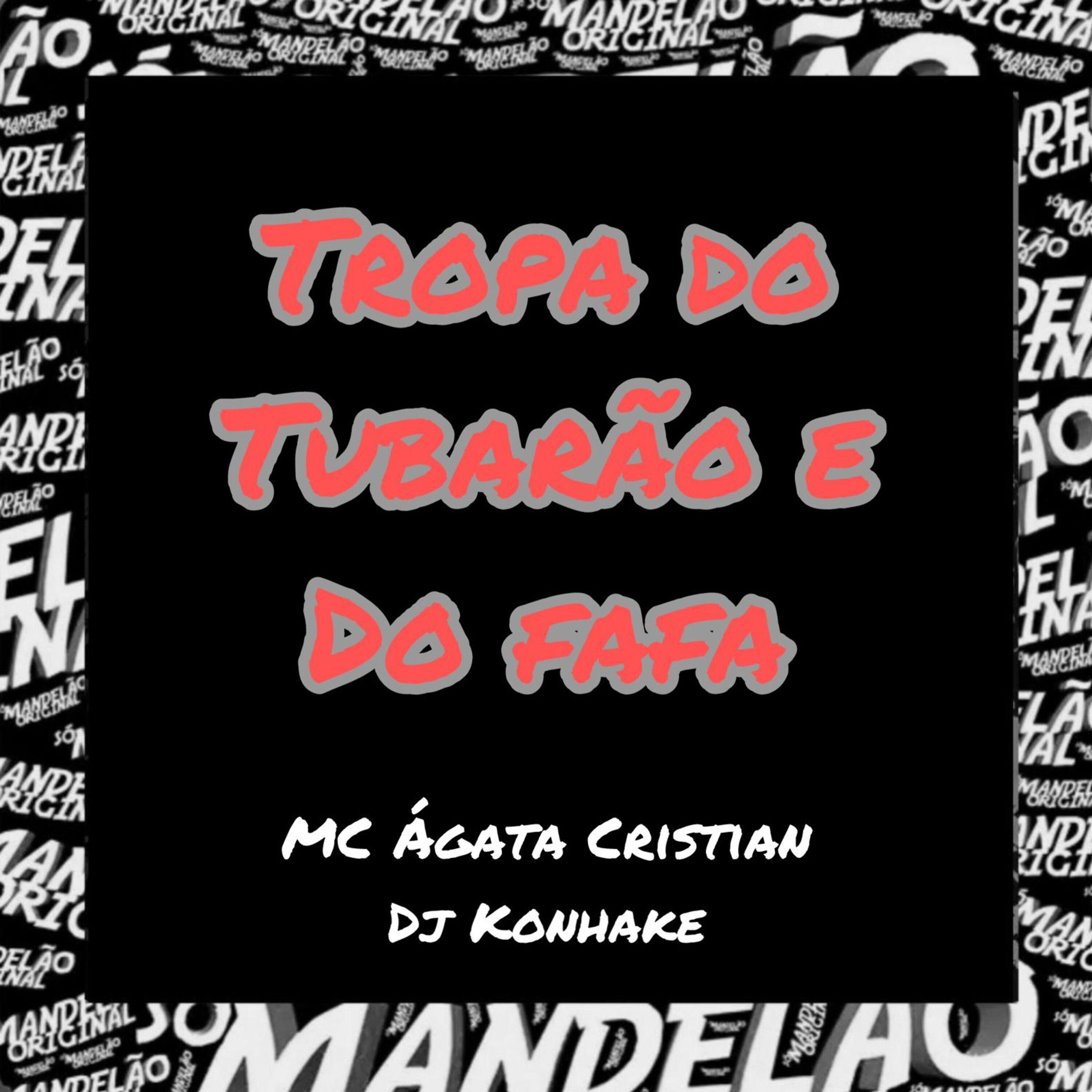 Постер альбома Tropa do Tubarão e do Fafa