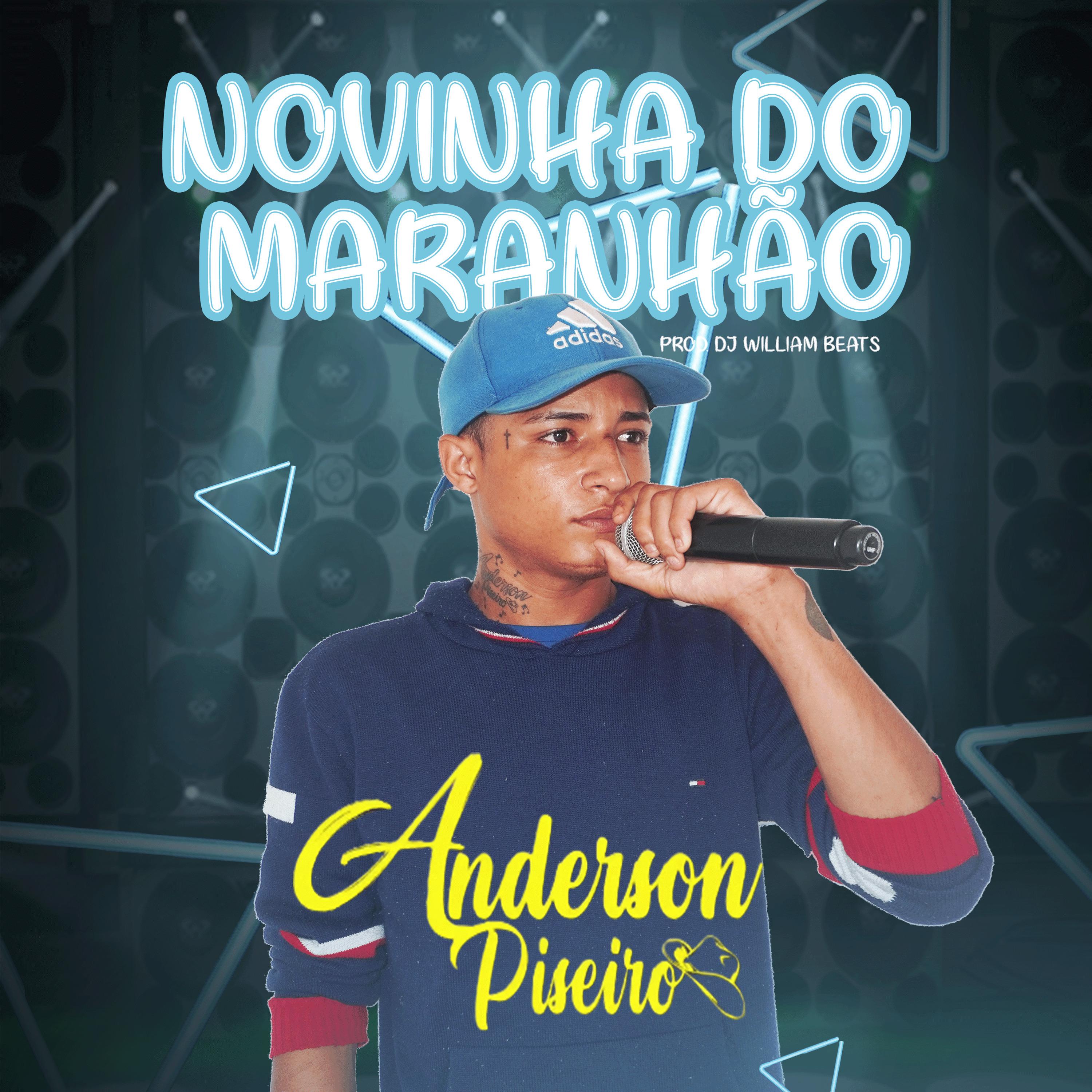 Постер альбома Novinha do Maranhão