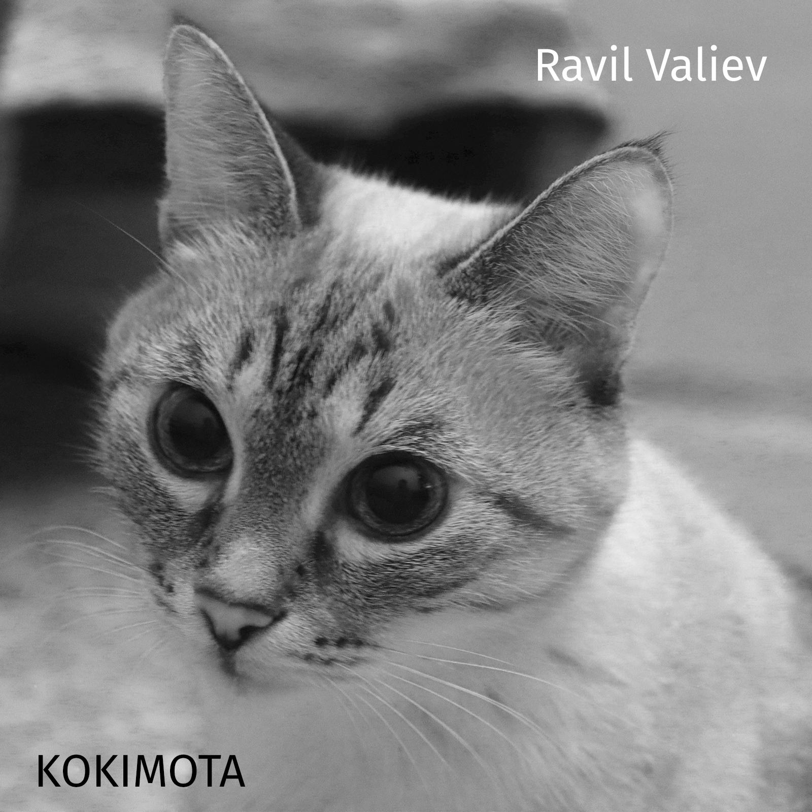 Постер альбома Kokimota
