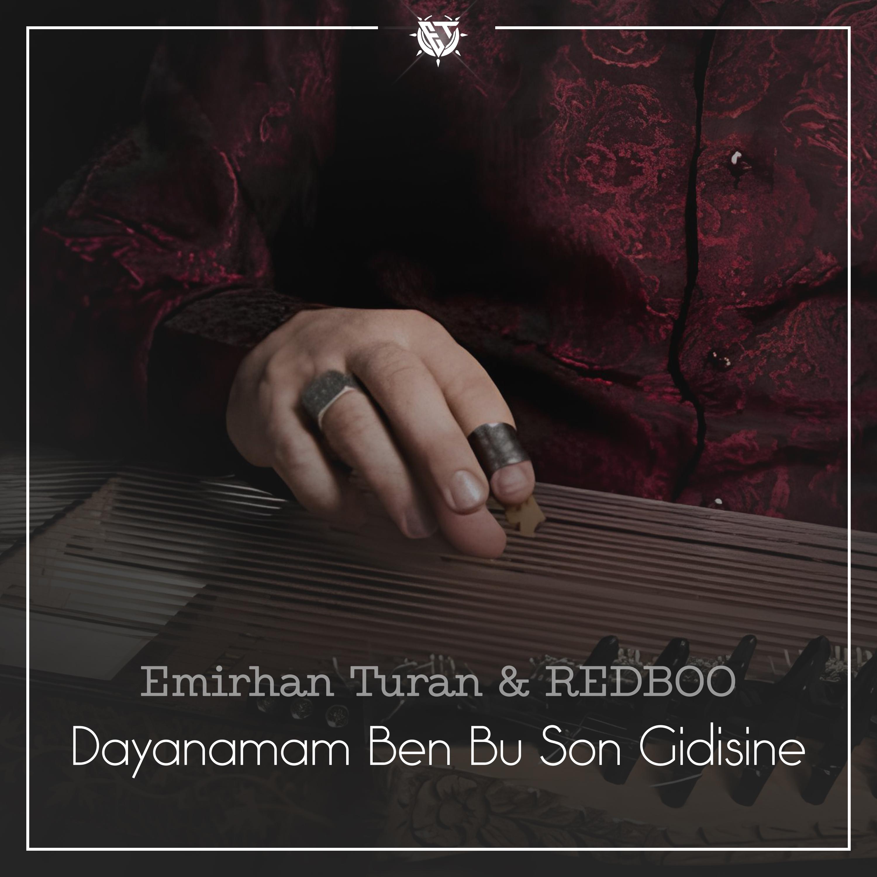 Постер альбома Dayanamam Ben Bu Son Gidişine