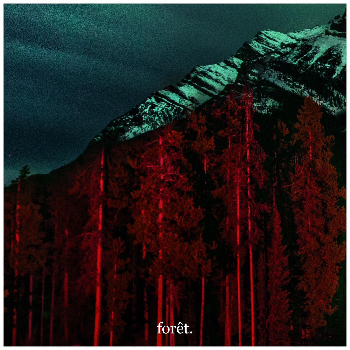 Постер альбома Forêt