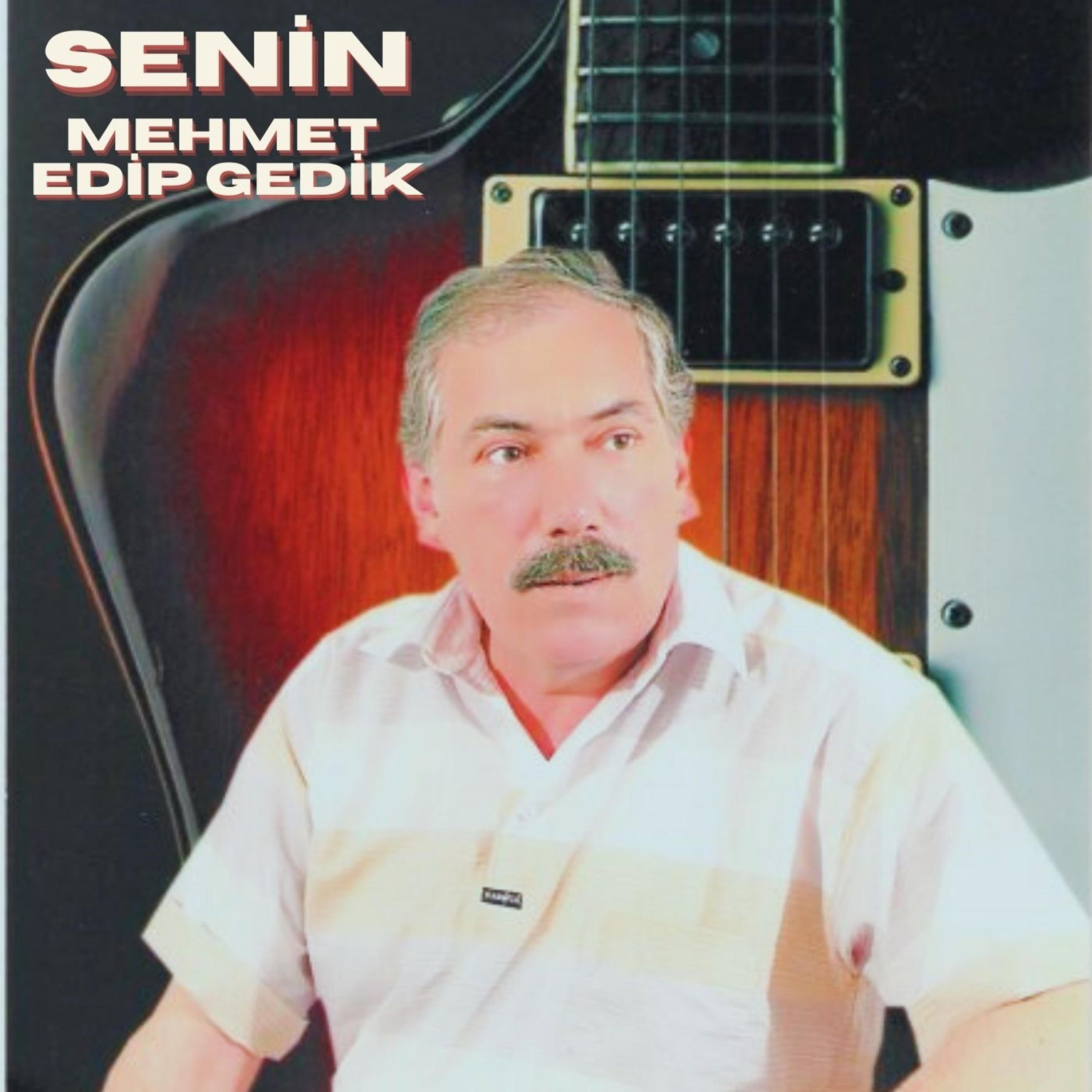 Постер альбома Senin