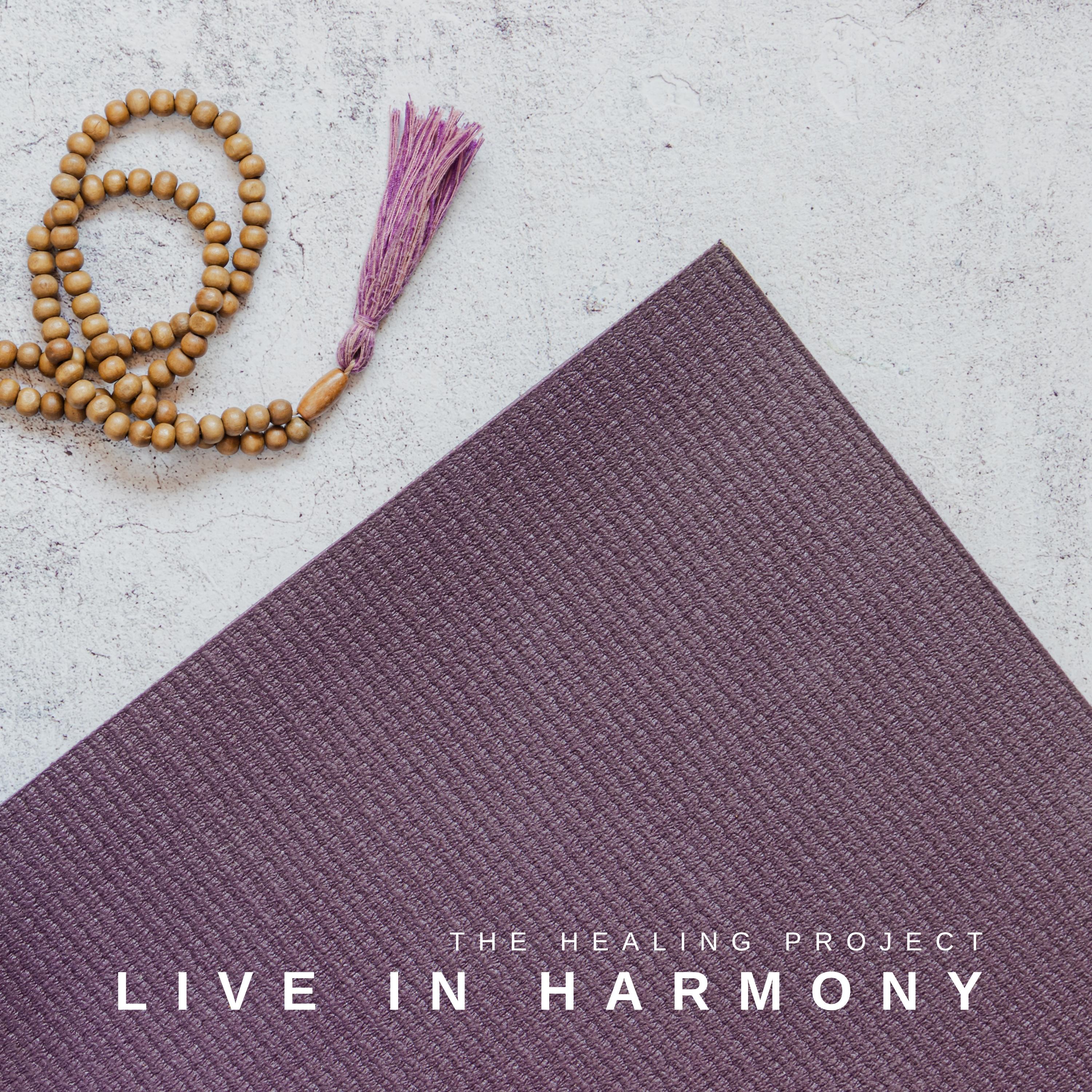 Постер альбома Live in Harmony
