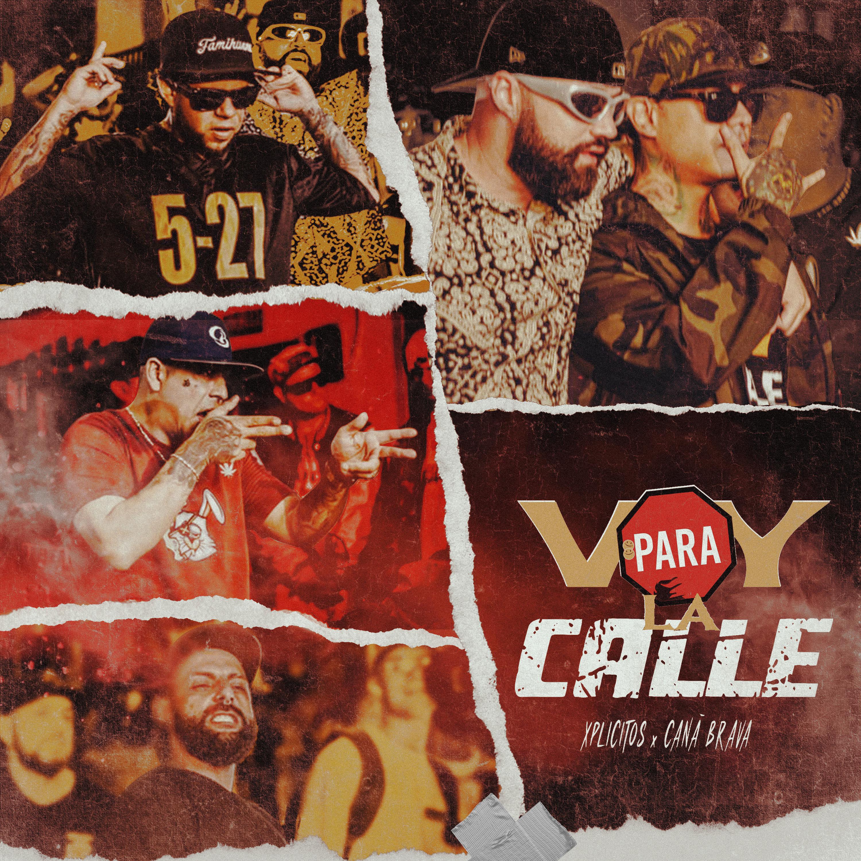 Постер альбома Voy para la Calle