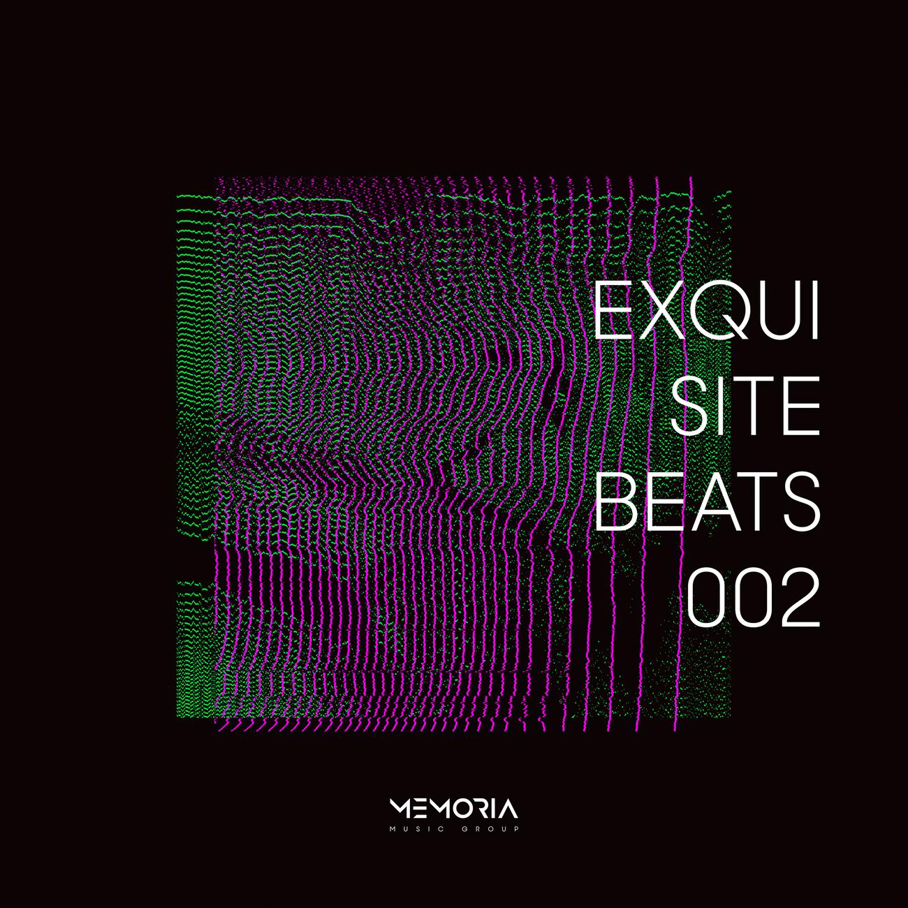 Постер альбома Exquisite Beats 002
