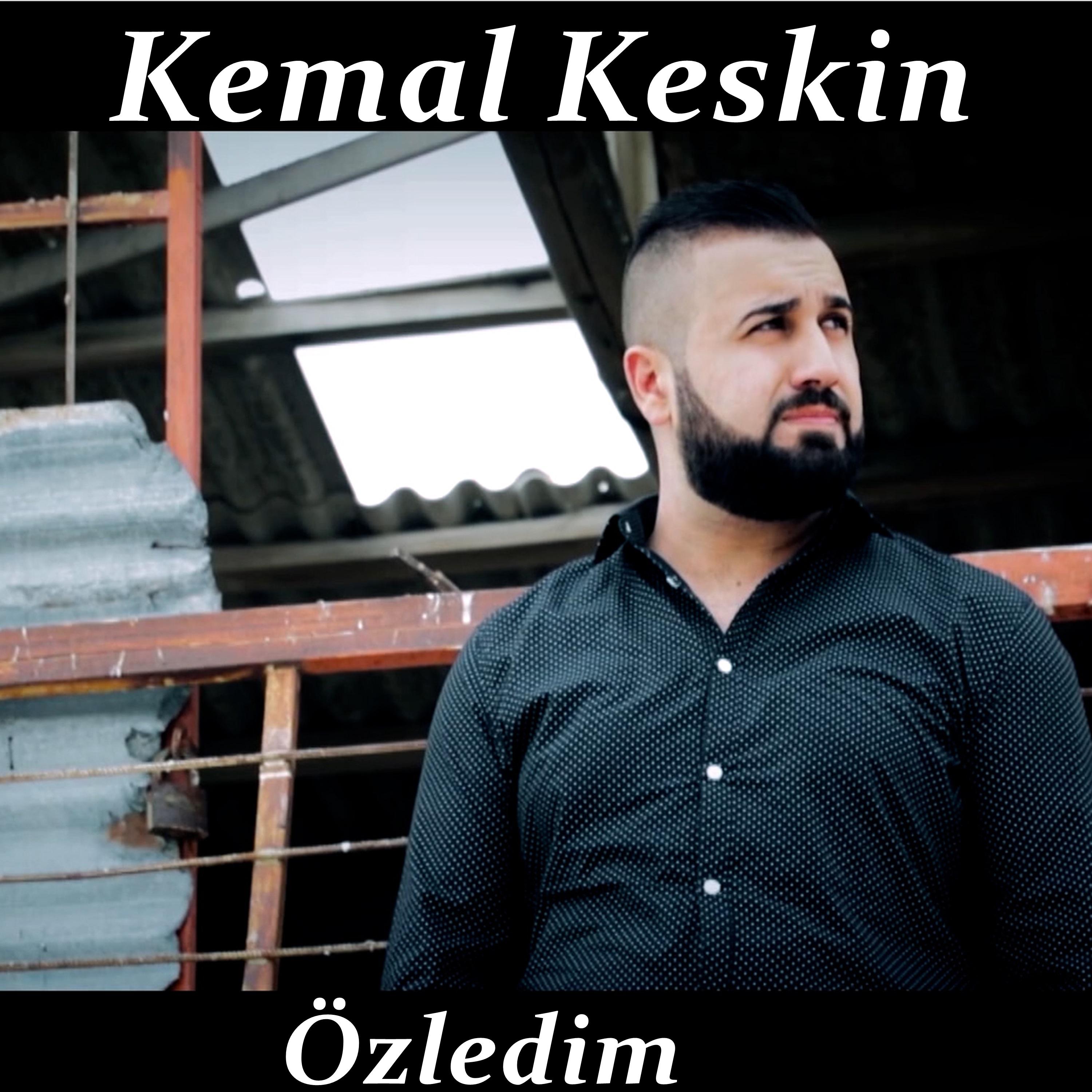 Постер альбома Özledim