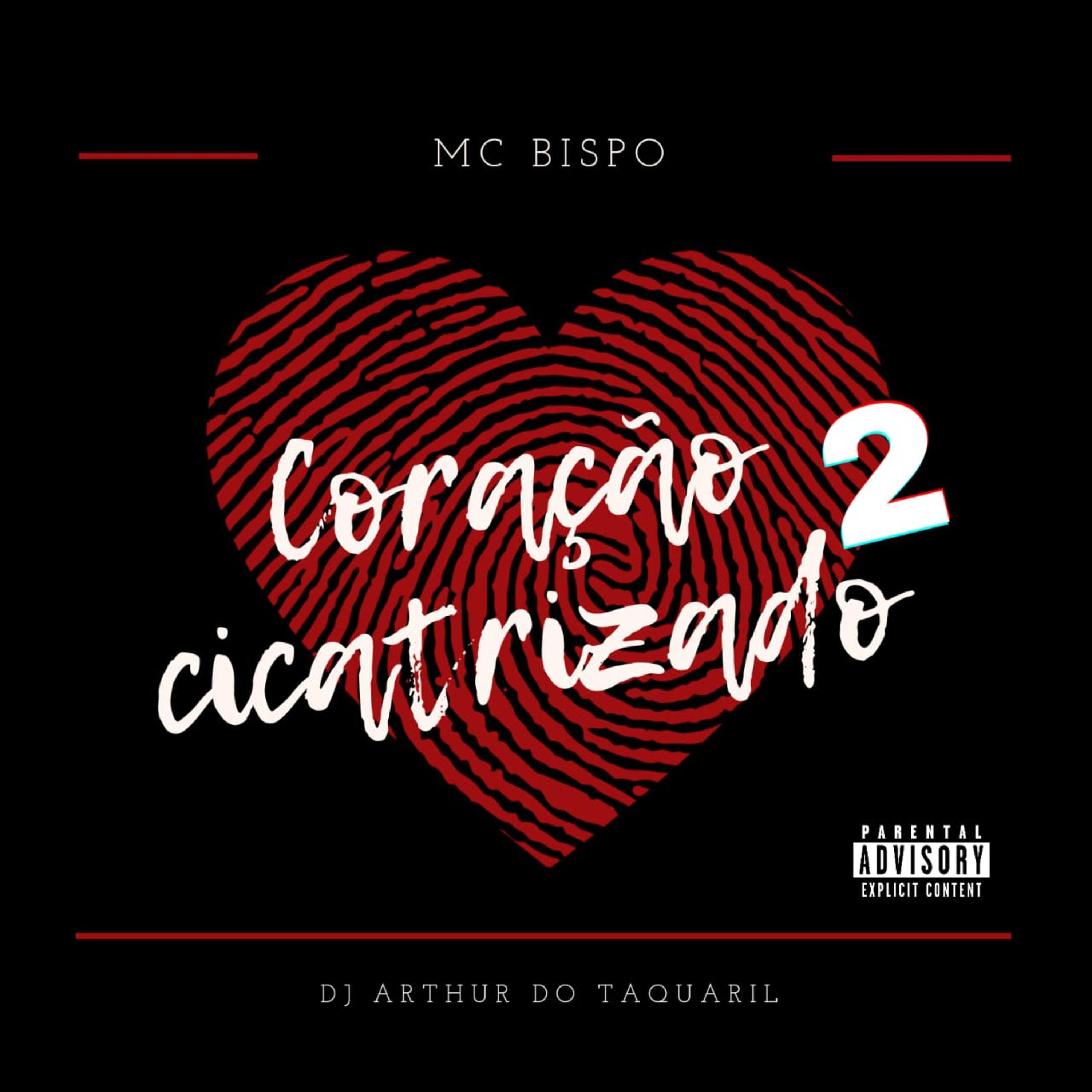 Постер альбома Coração Cicatrizado 2