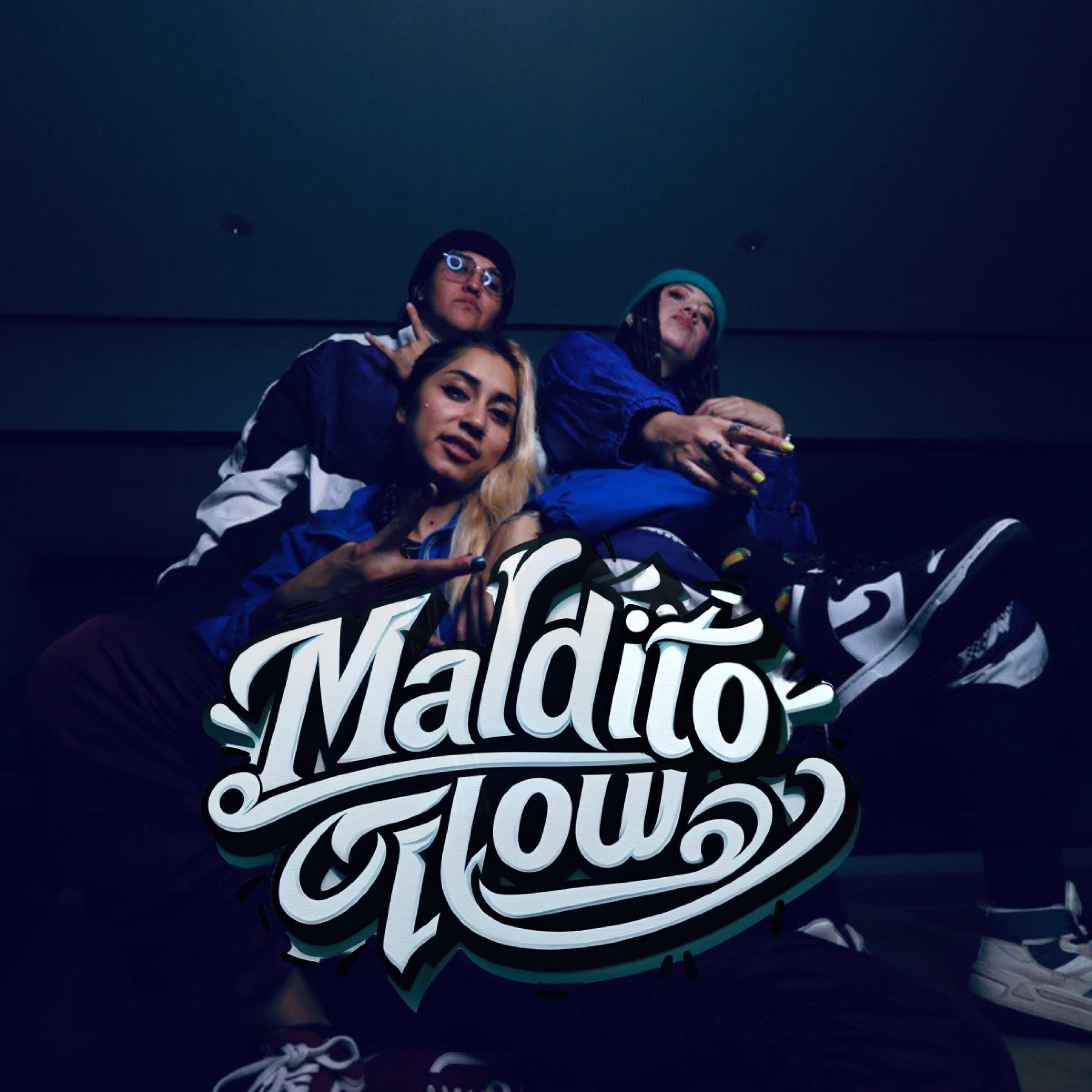 Постер альбома Maldito Flow