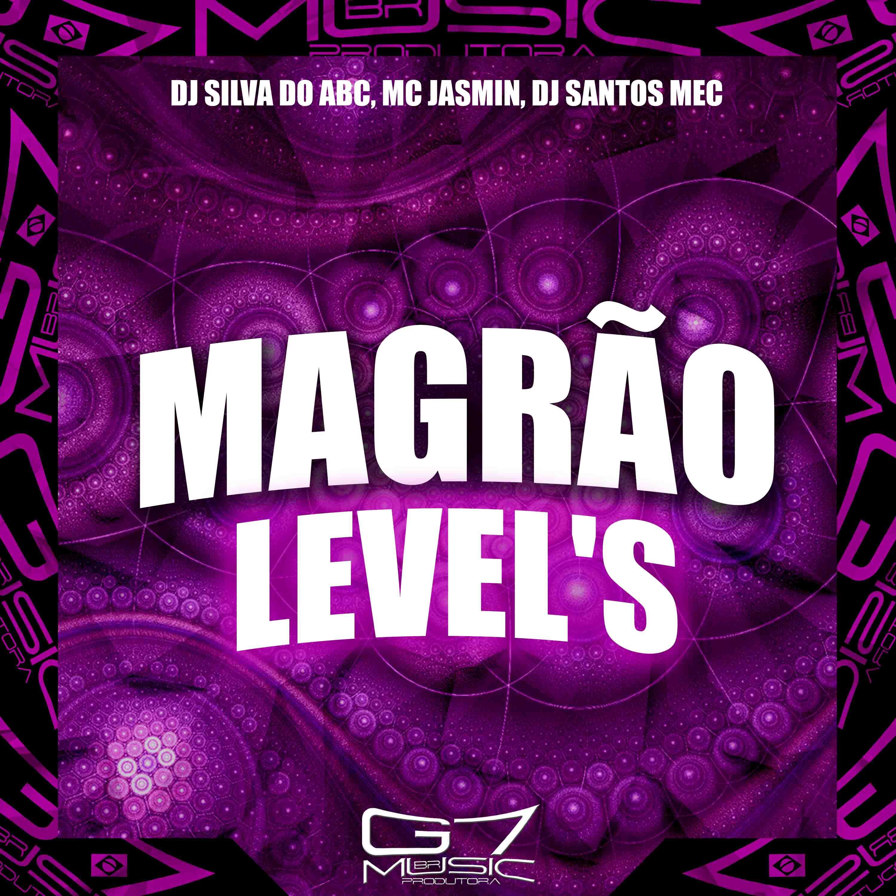 Постер альбома Magrão Level's