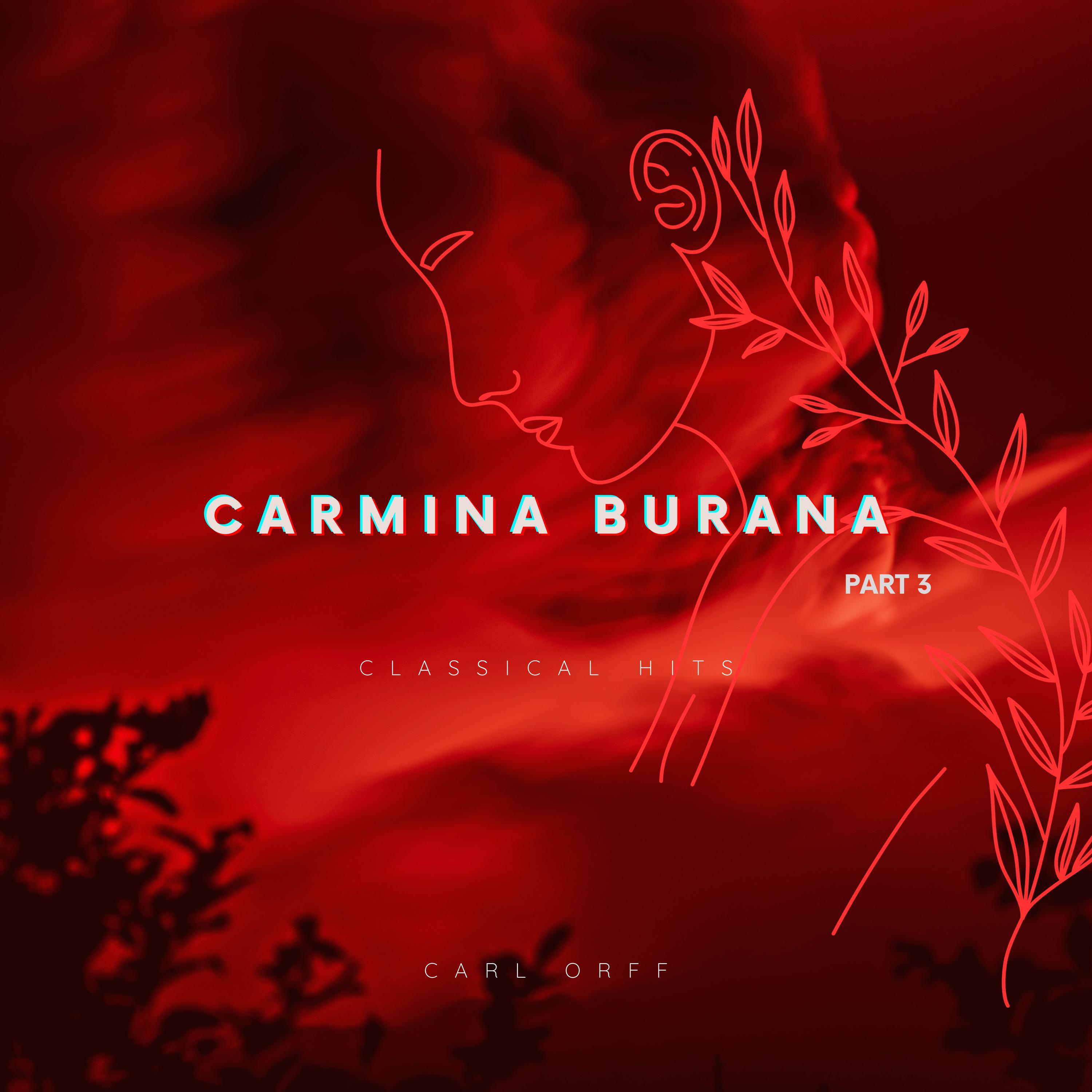 Постер альбома Carmina Burana Part 3