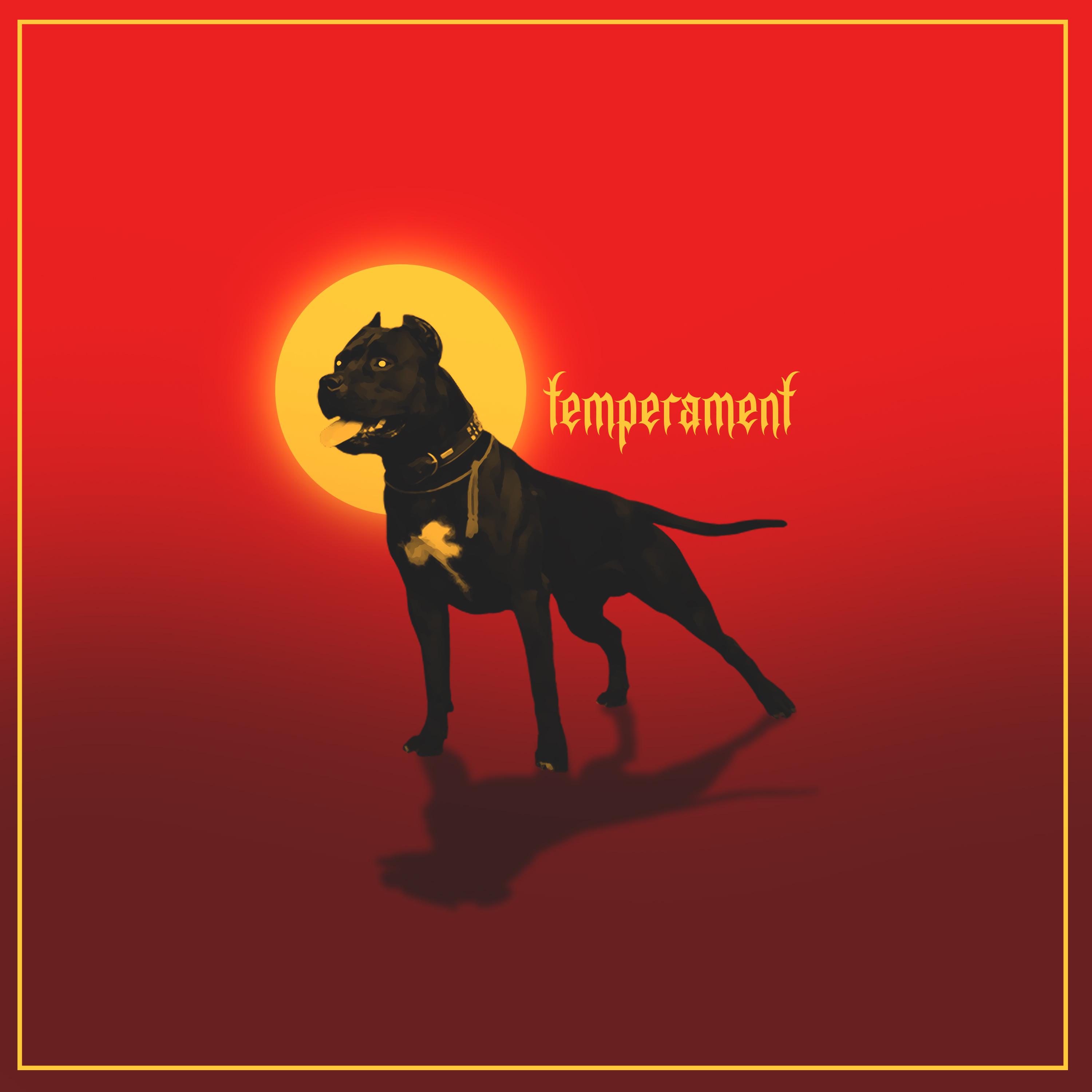 Постер альбома Temperament