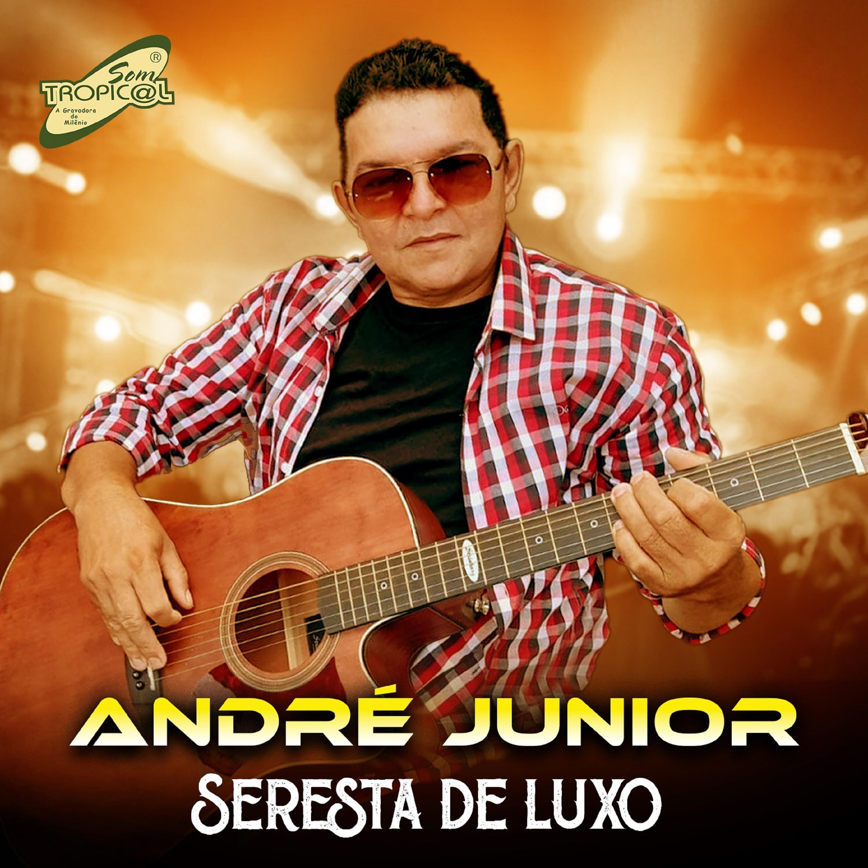 Постер альбома Seresta de Luxo