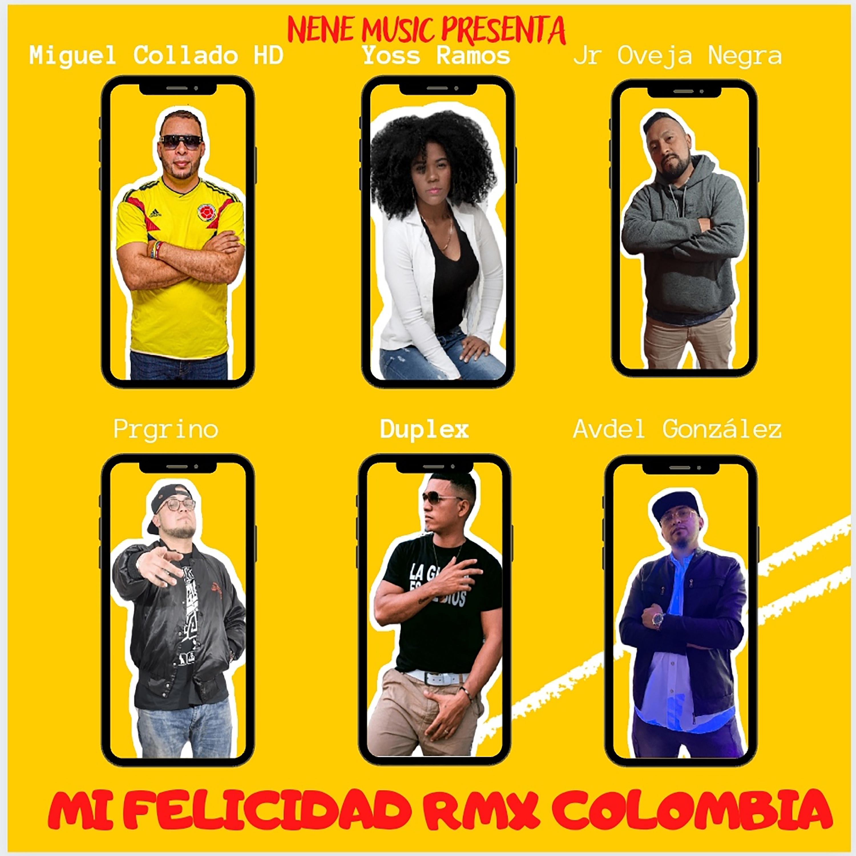 Постер альбома Mi Felicidad Rmx Colombia