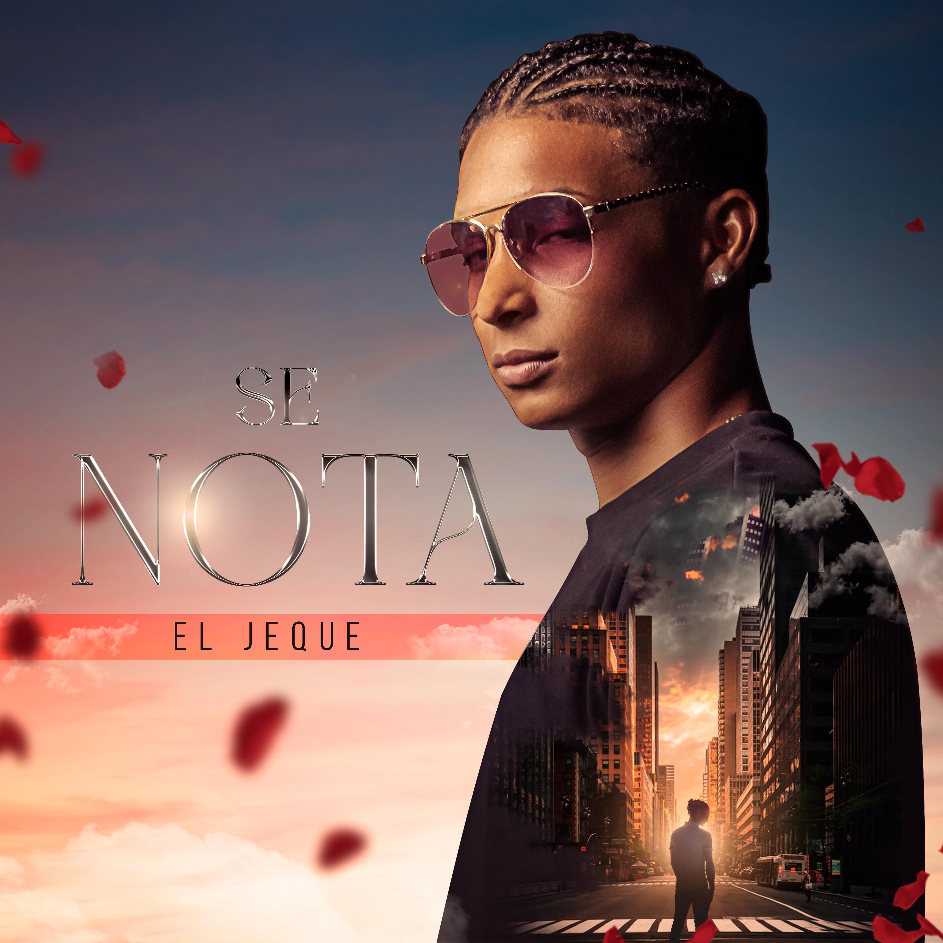 Постер альбома Se Nota