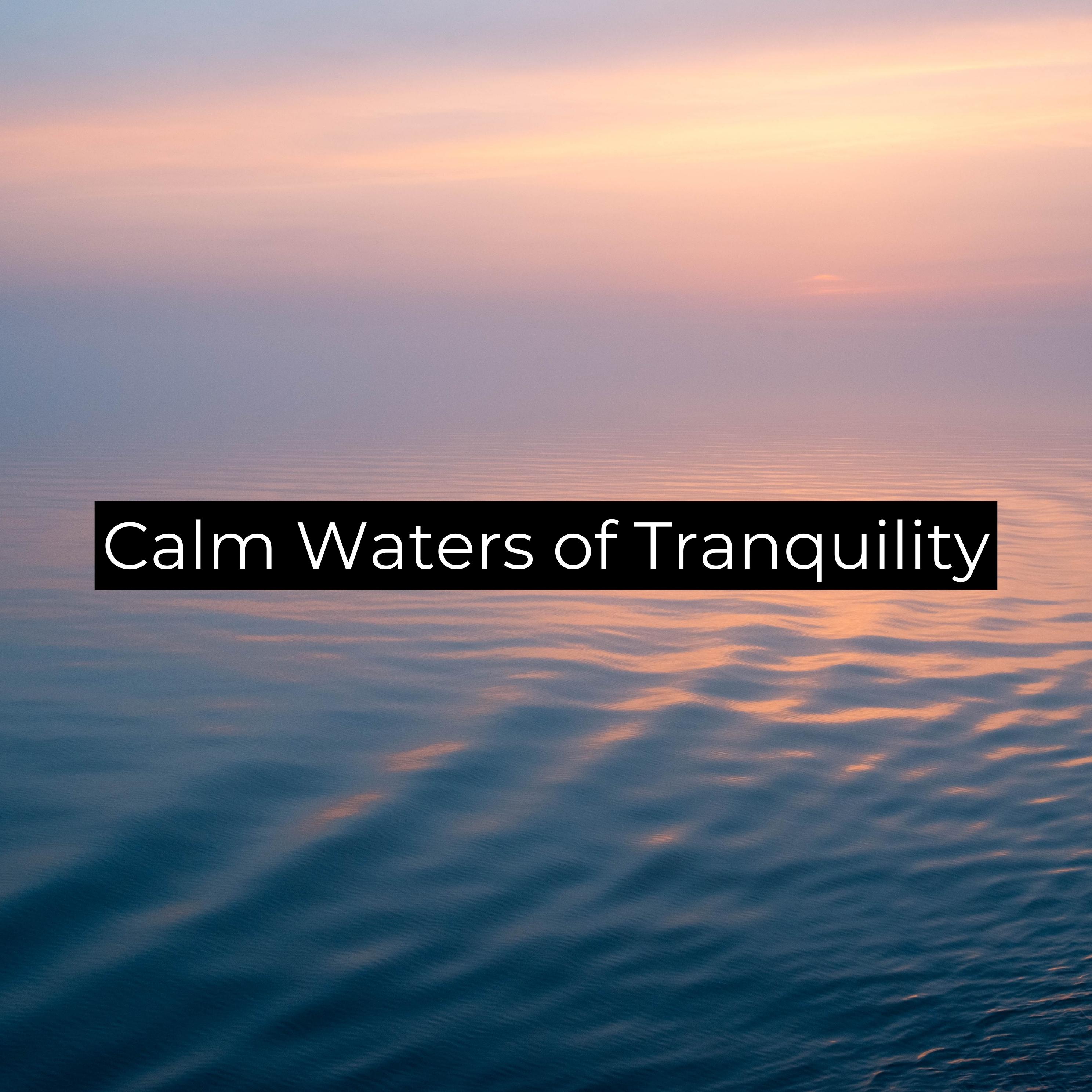 Постер альбома Calm Waters of Tranquility