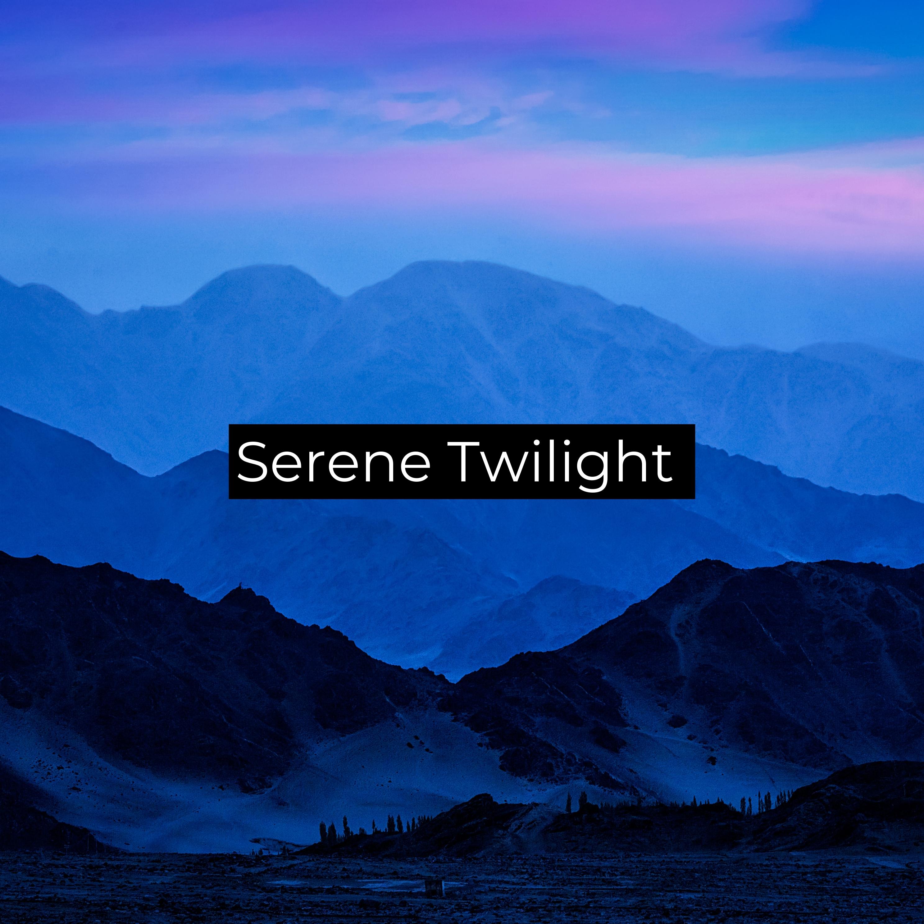 Постер альбома Serene Twilight