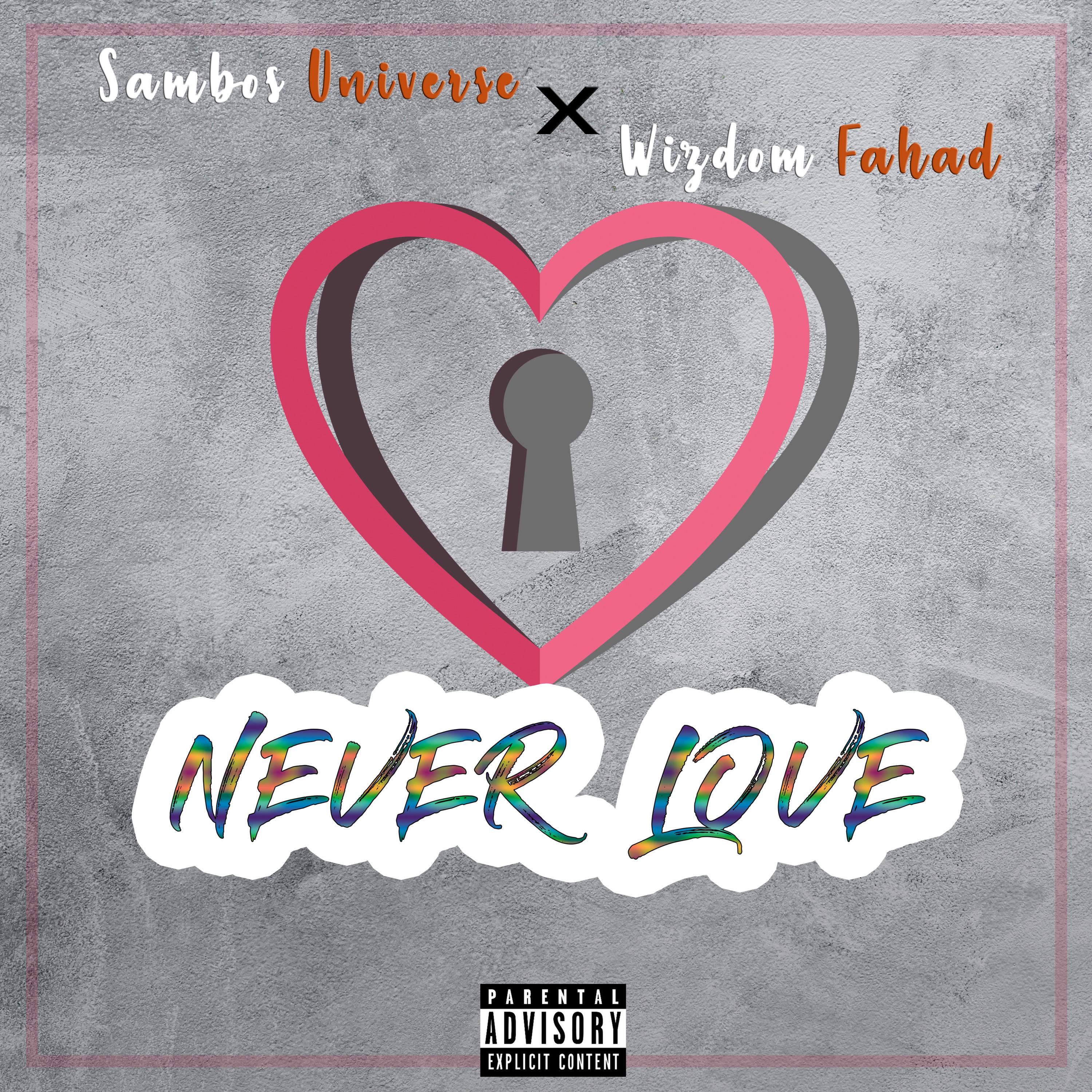 Постер альбома Never Love