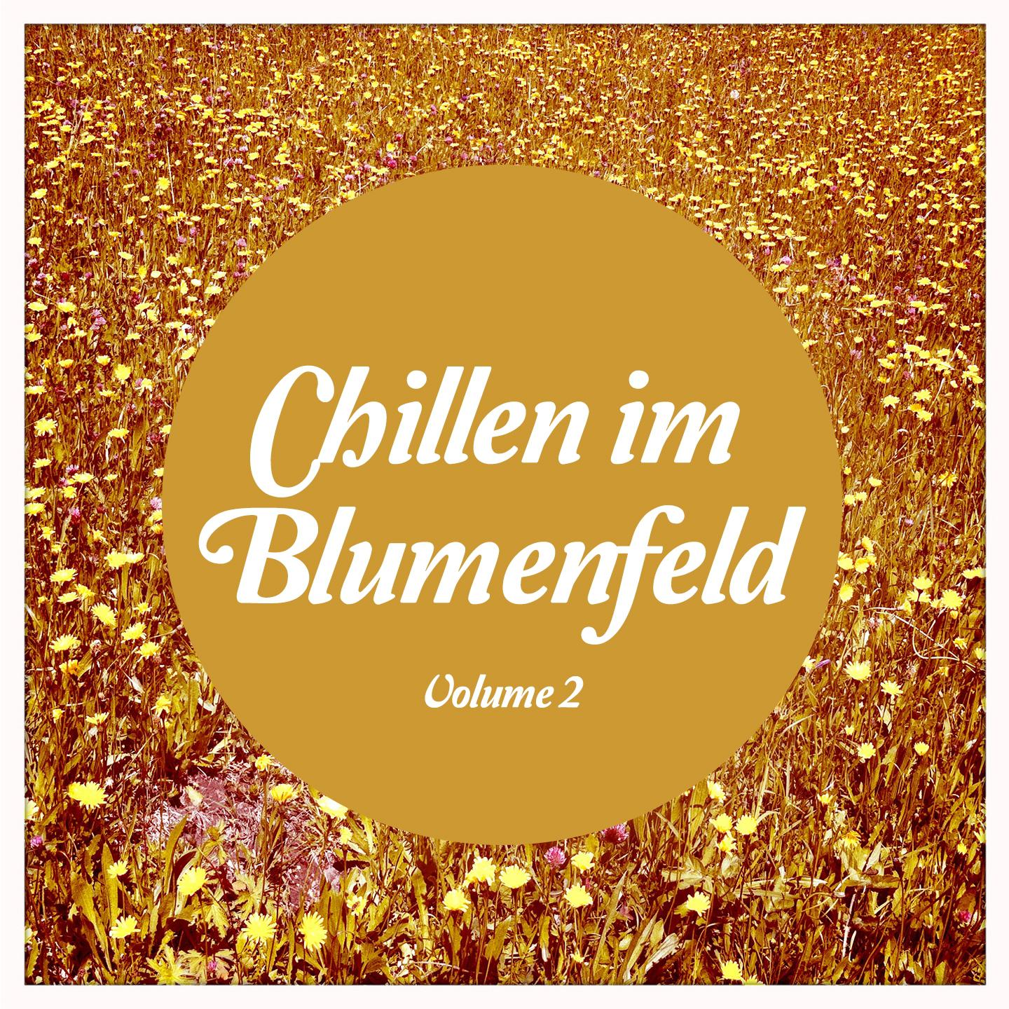 Постер альбома Chillen im Blumenfeld, Vol. 2