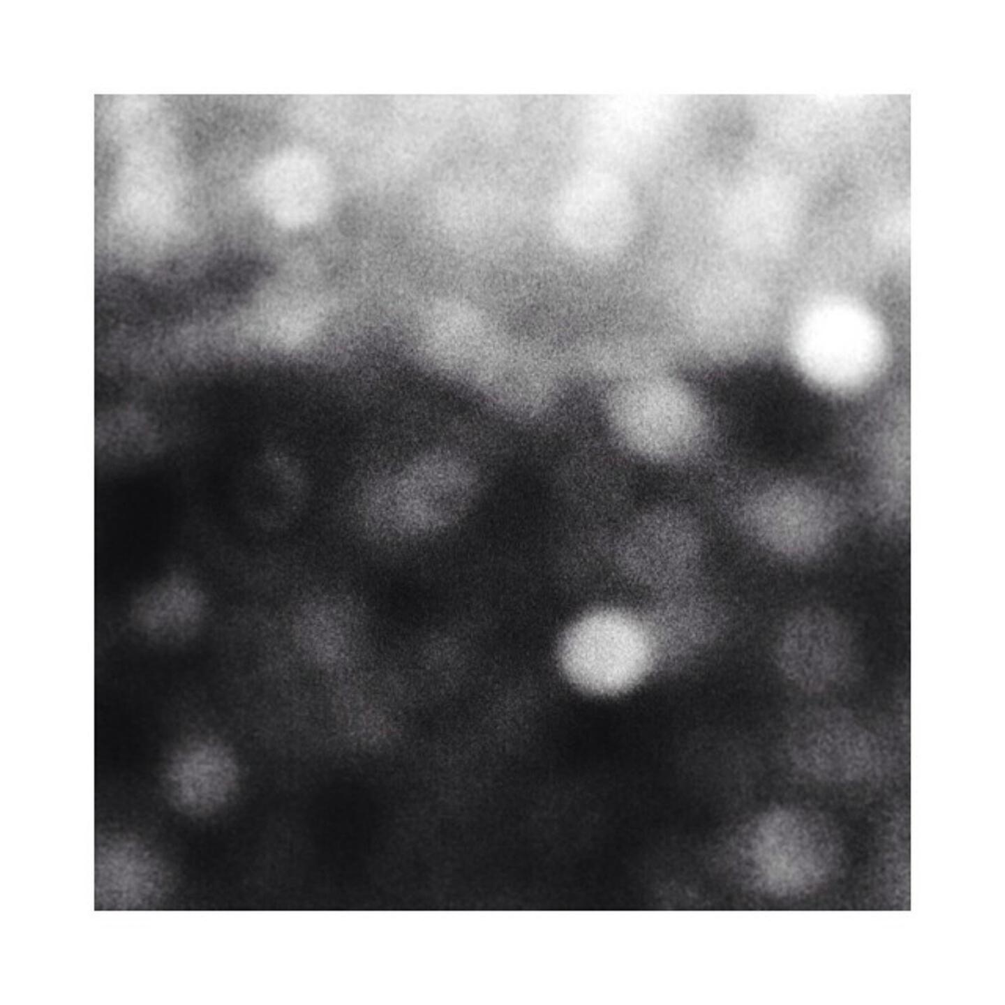 Ghost.Cuts - Forest