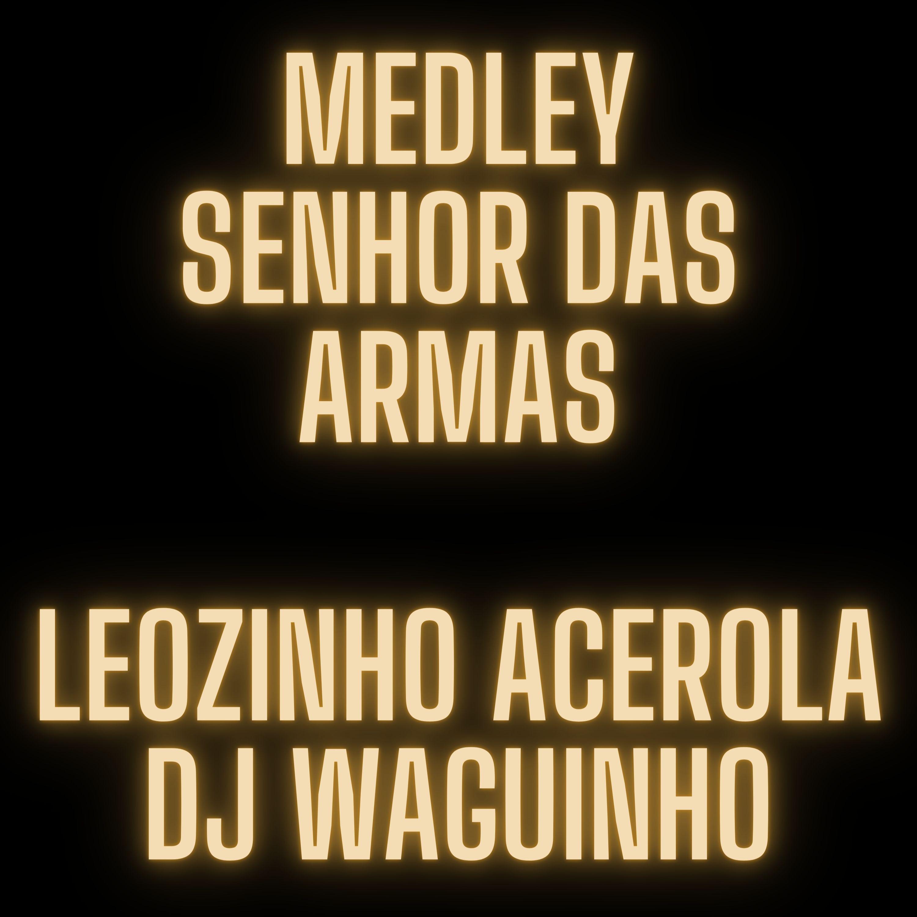 Постер альбома Medley Senhor das Armas