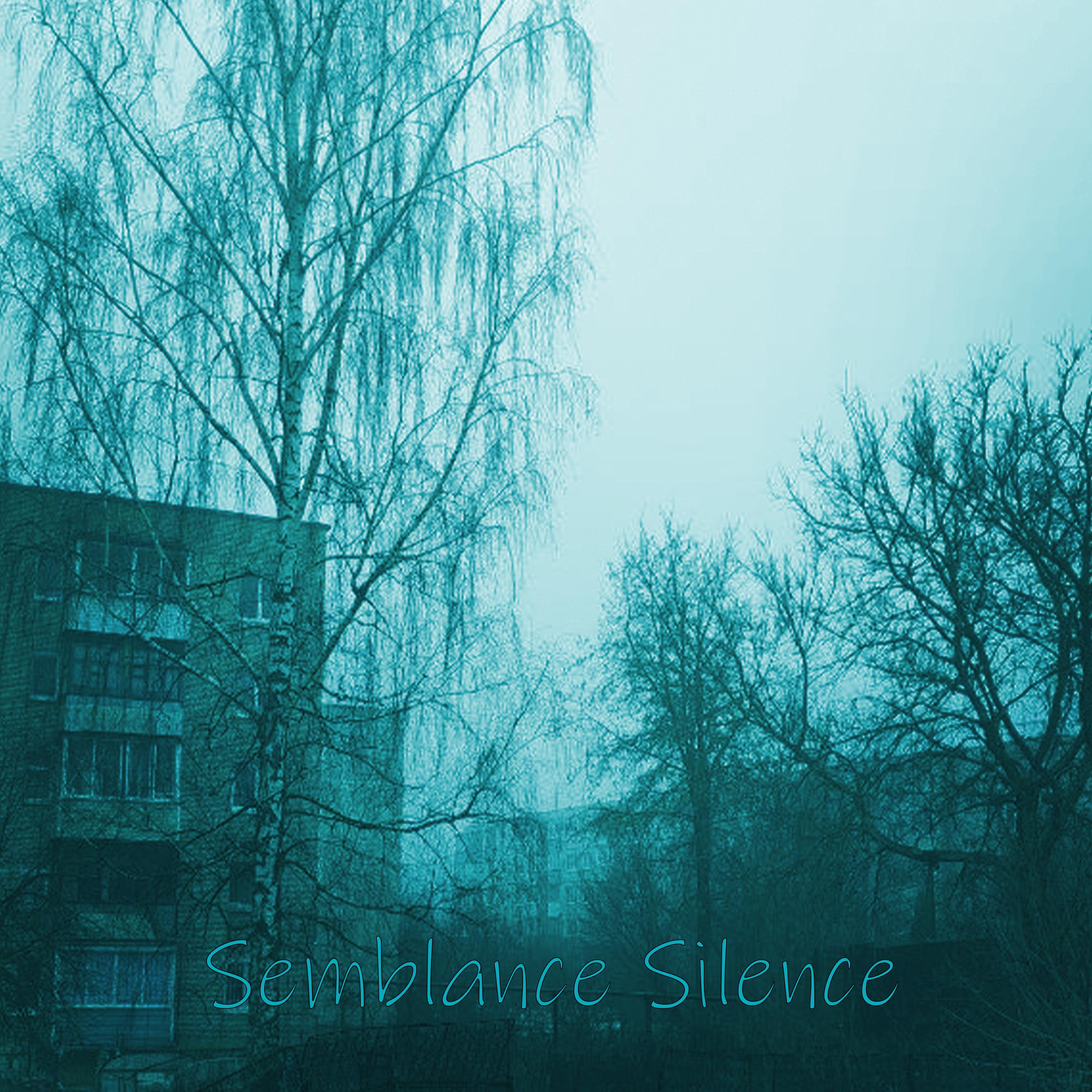 Постер альбома Semblance Silence