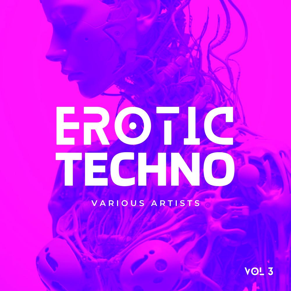 Постер альбома Erotic Techno, Vol. 3