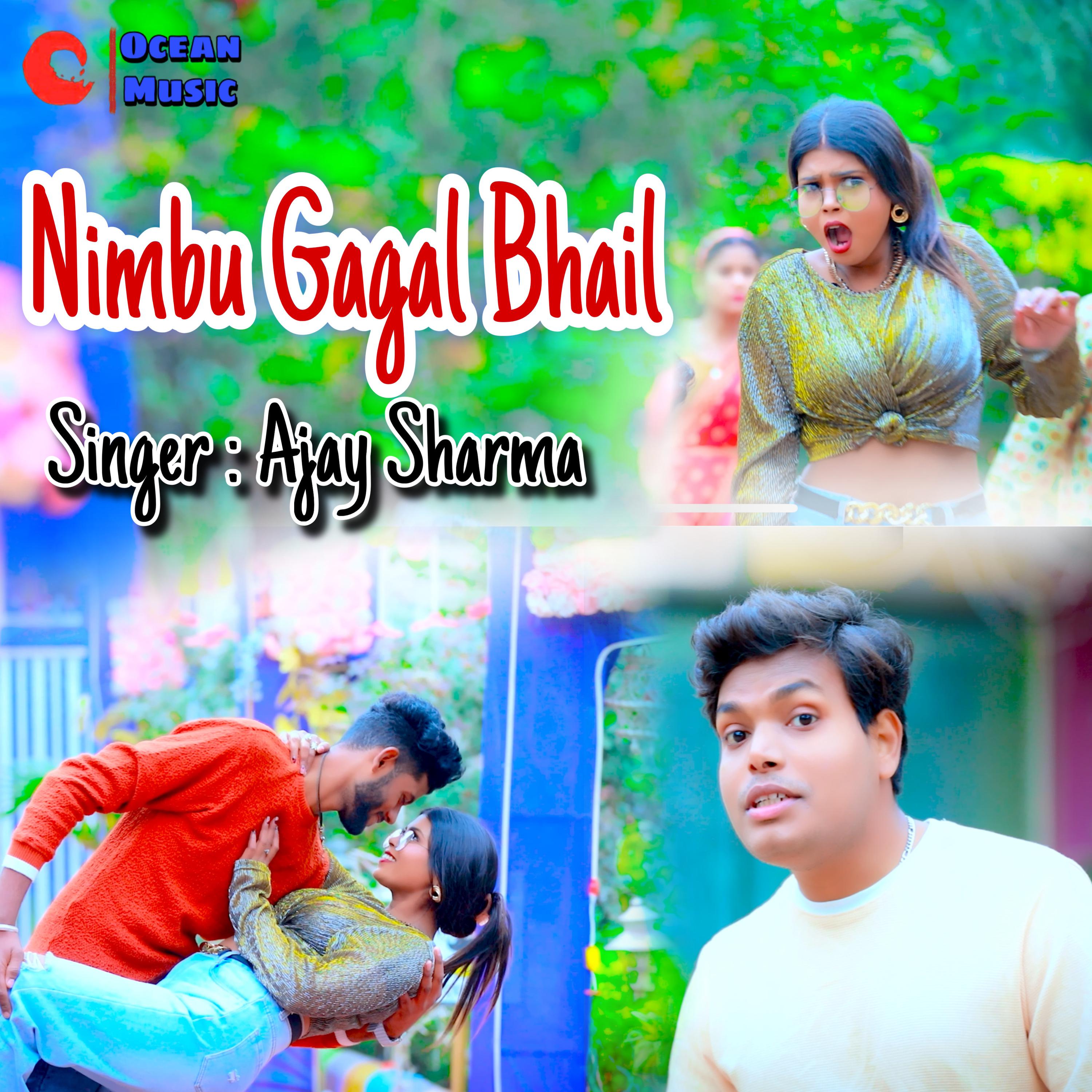 Постер альбома Nimbu Gagal Bhail