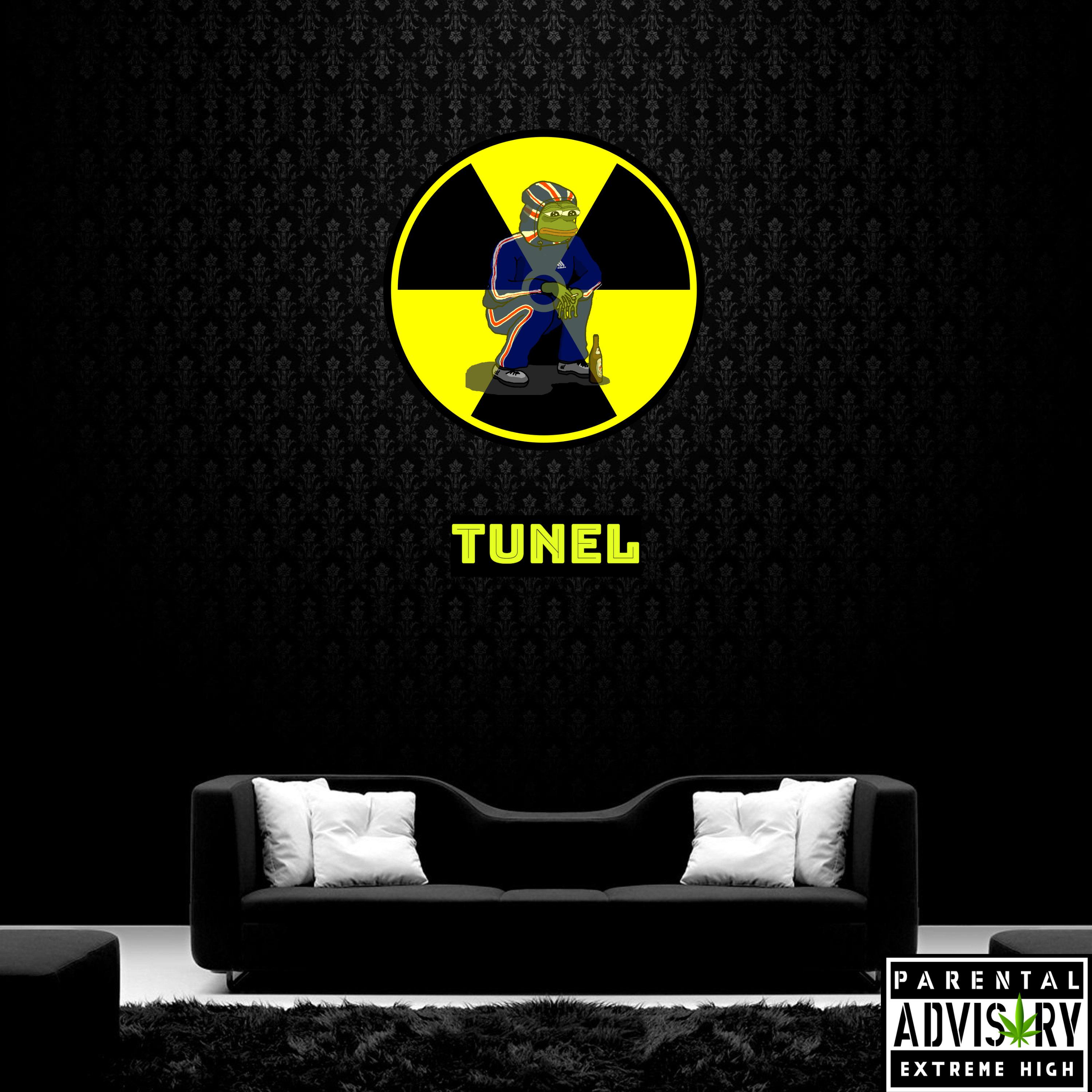 Постер альбома Tunel