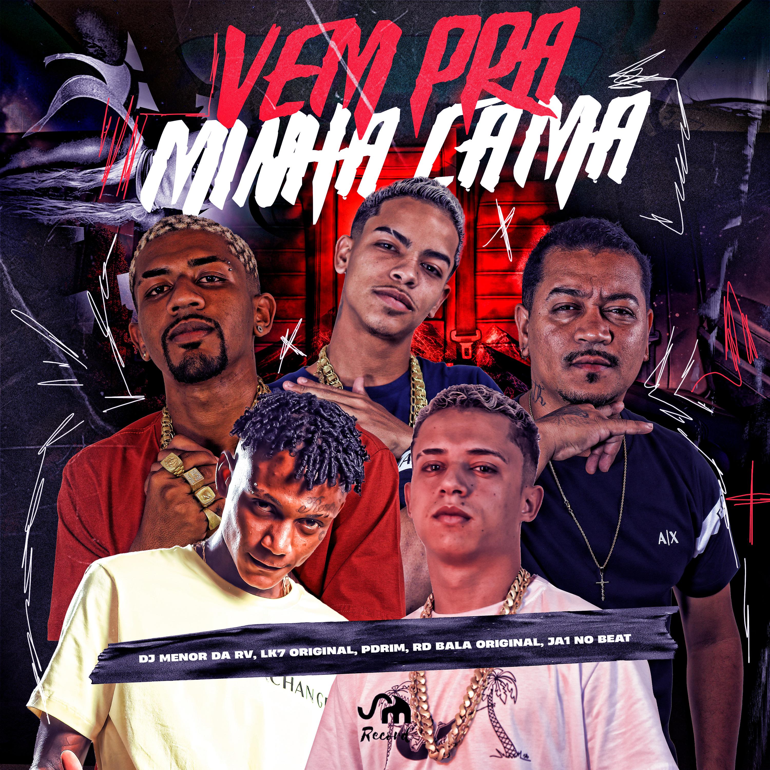 Постер альбома Vem pra Minha Cama