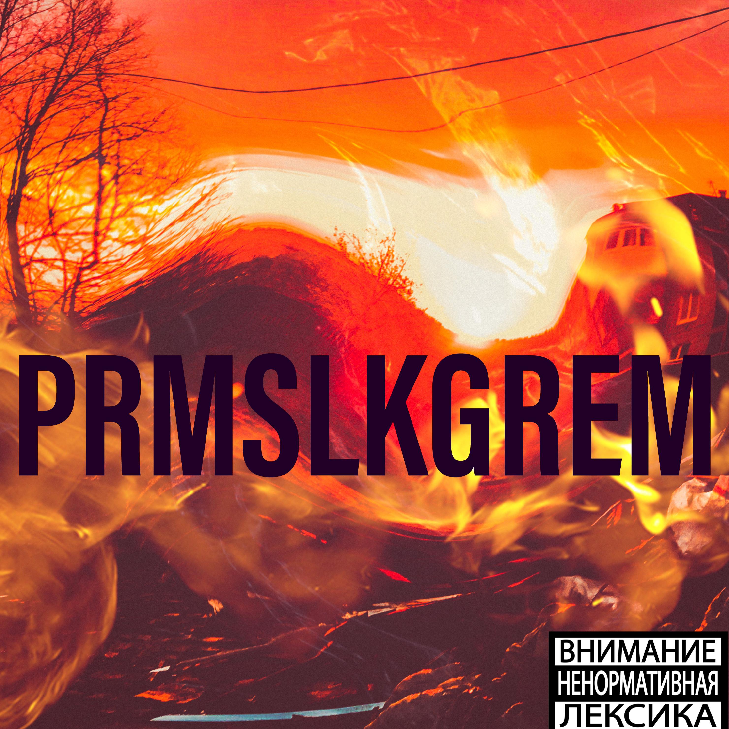 Постер альбома Prmslkgrem