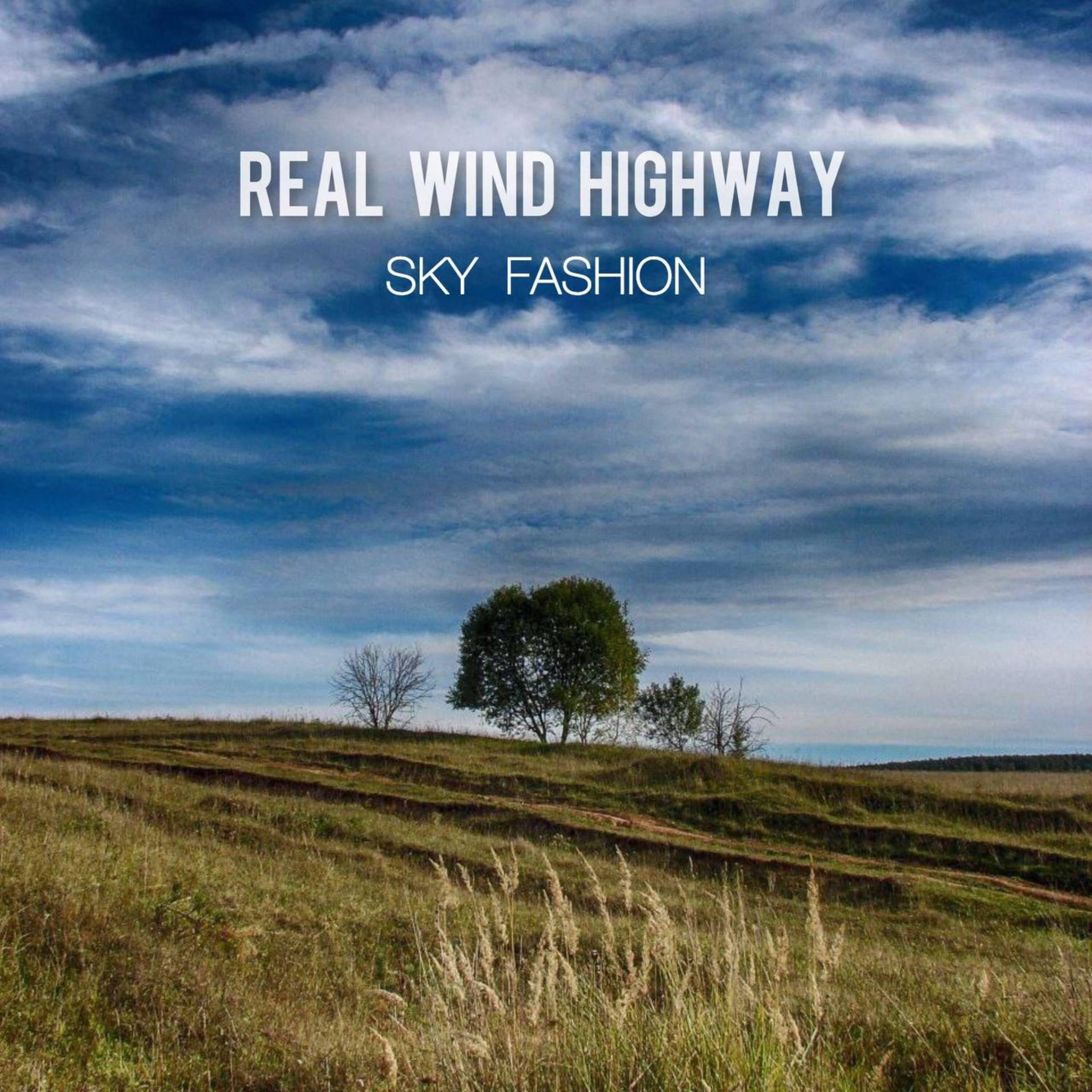 Постер альбома Real Wind Highway