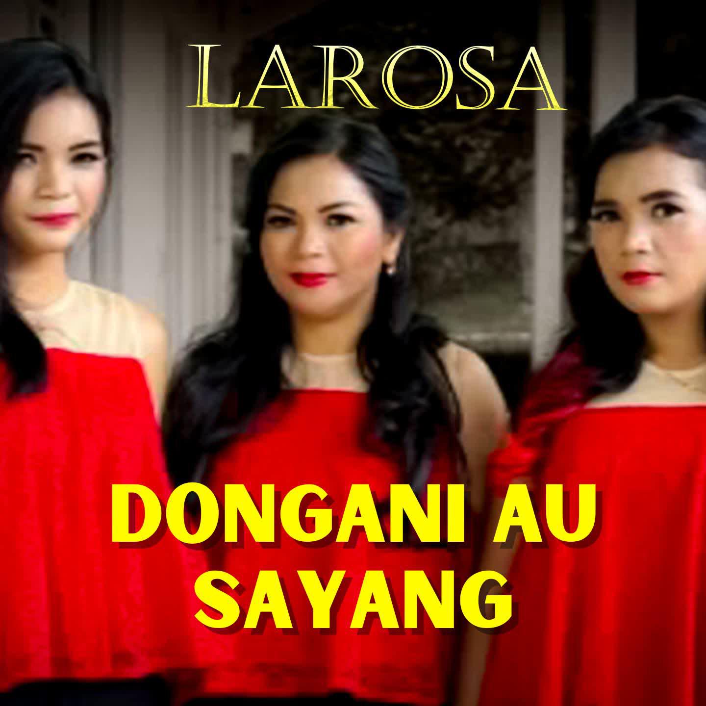 Постер альбома Dongani Au Sayang