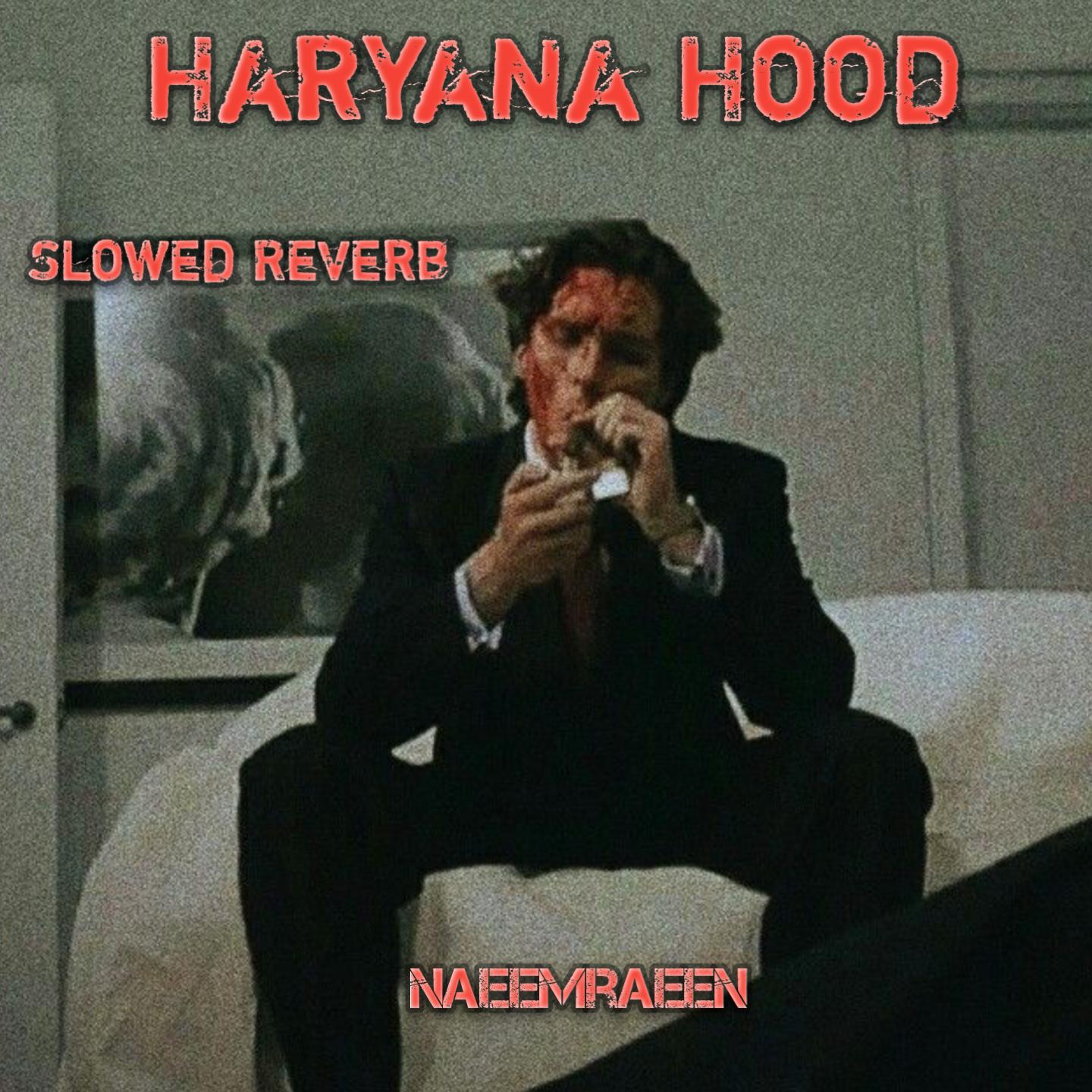 Постер альбома Haryana Hood