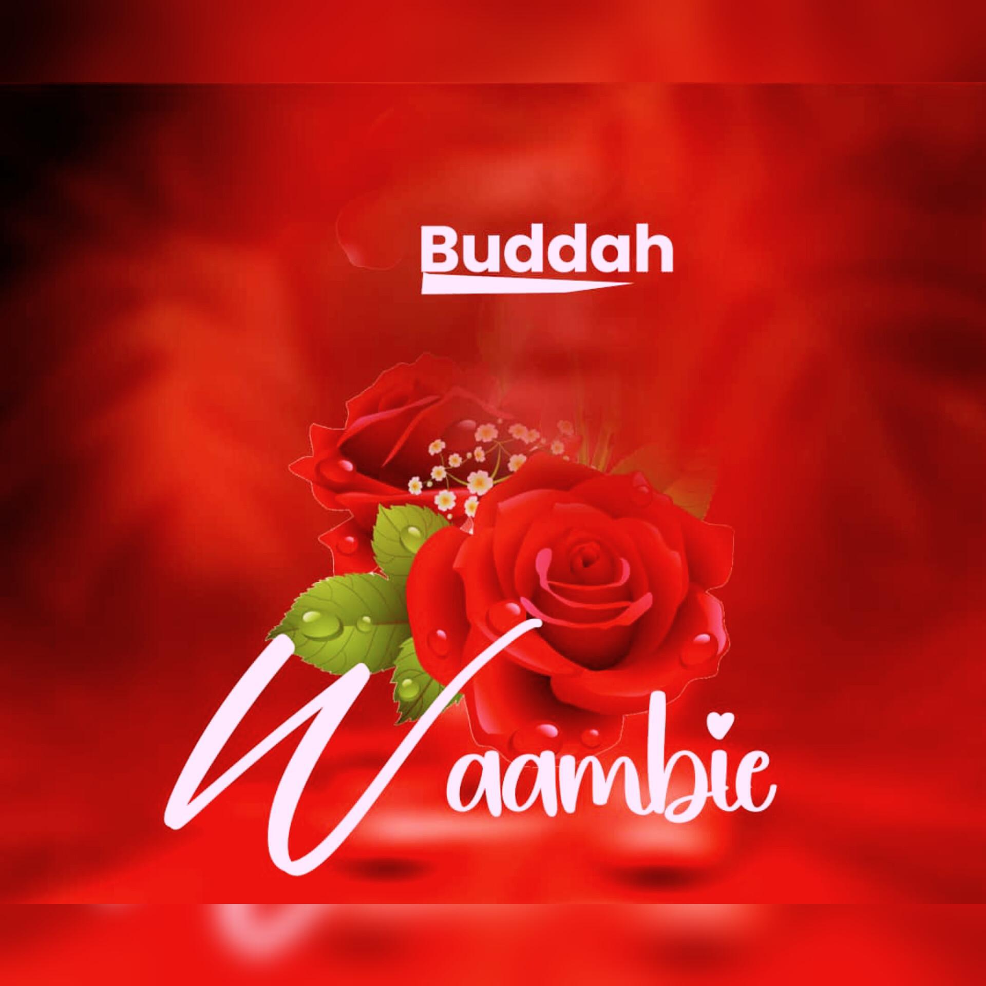Постер альбома Waambie